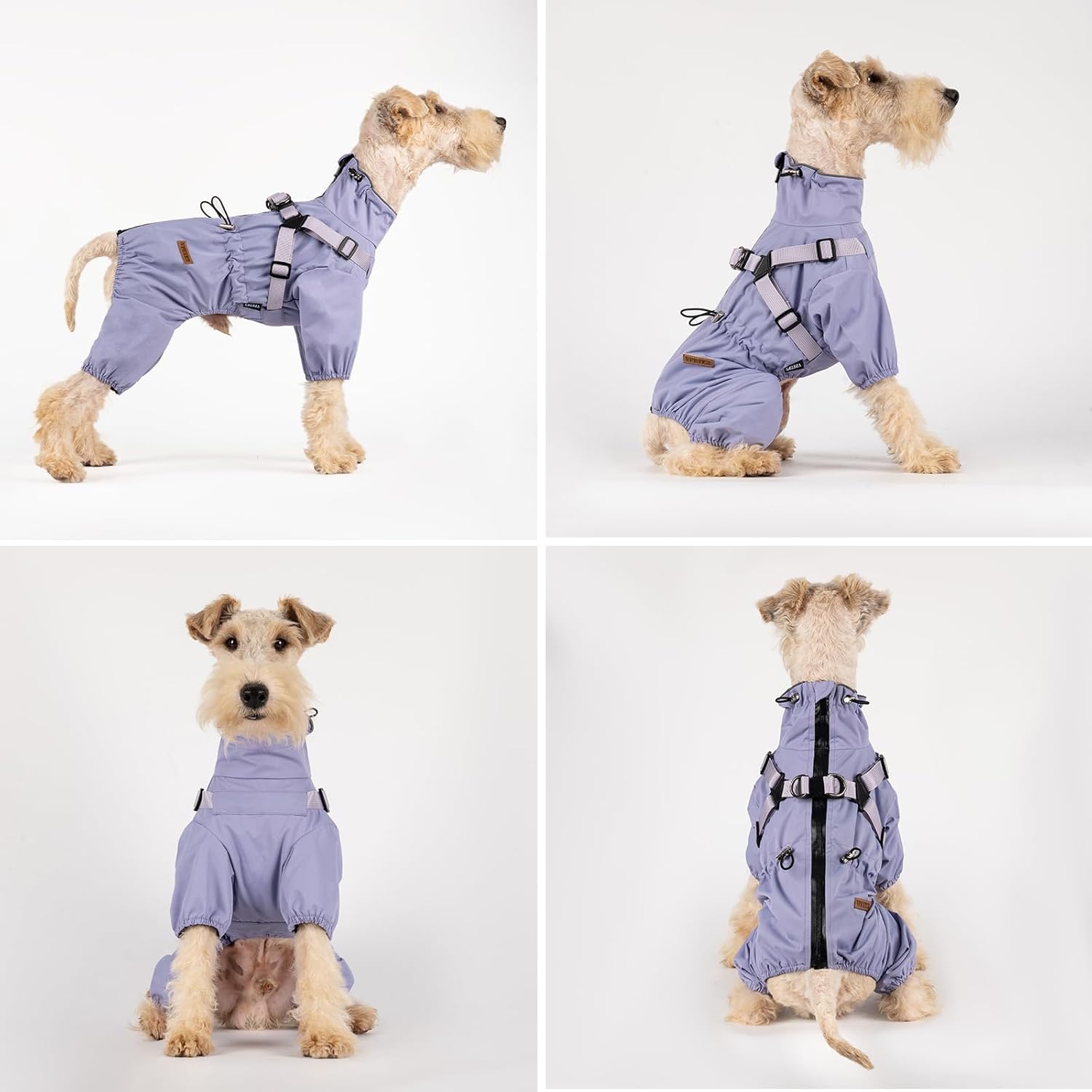 Detalle de BT Bear Hundegeschirr-Regenmantel XXL – Wasserdichter 2-in-1-Hundemantel mit reflektierendem Geschirr-Design (Lila, XXL)