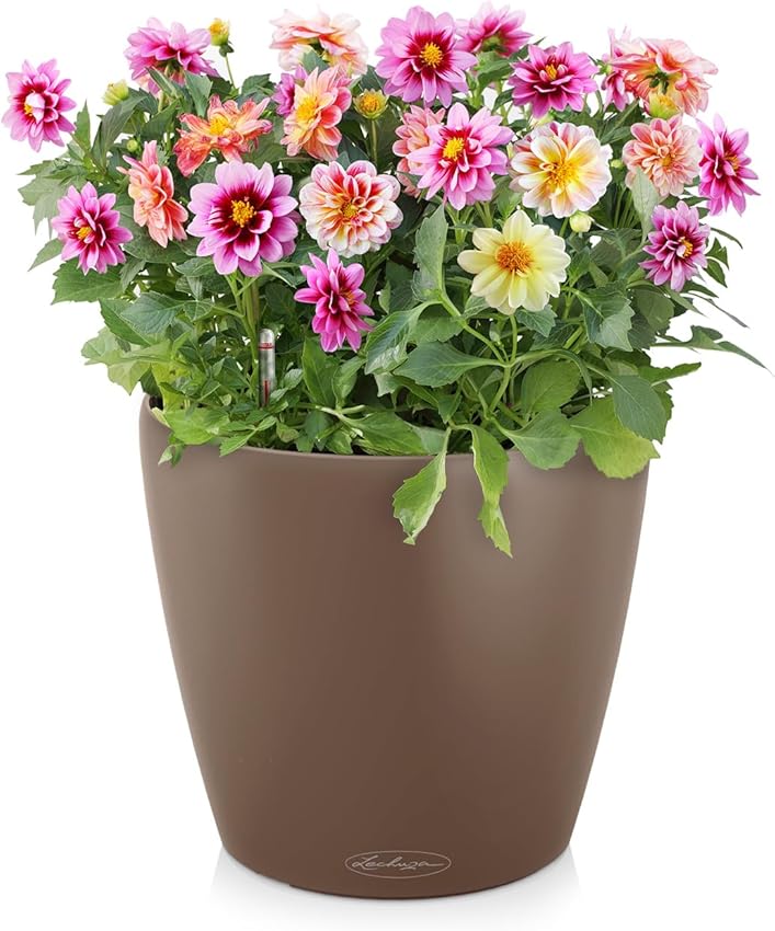 Detalle 2 de Lechuza Classico Color 43 macetero con riego 33 l