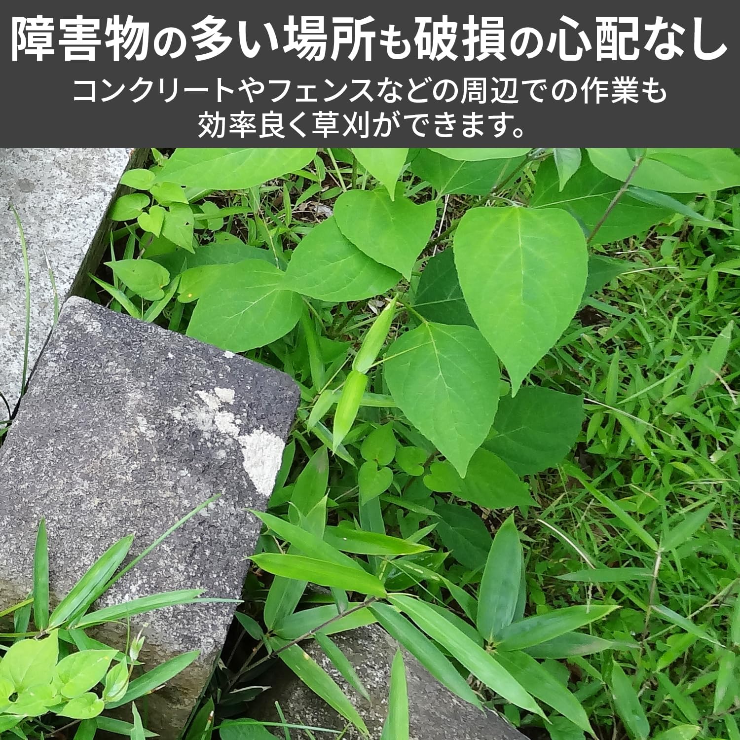 Thumbnail 3 de 山善 NC22-SN203 草刈用差し込み式替えコード 四角2.2mm・30本入り