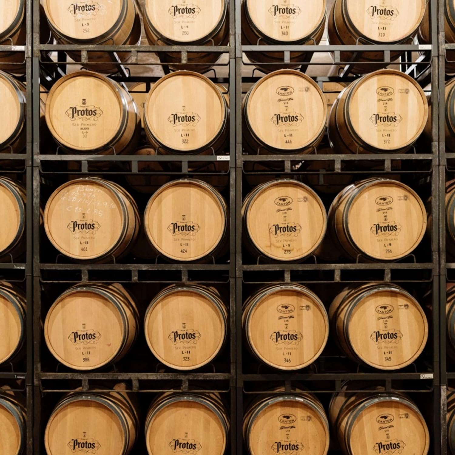 Thumbnail 9 de Protos Roble Tempranillo - Estuche Vino Tinto 🍷 (2 botellas)