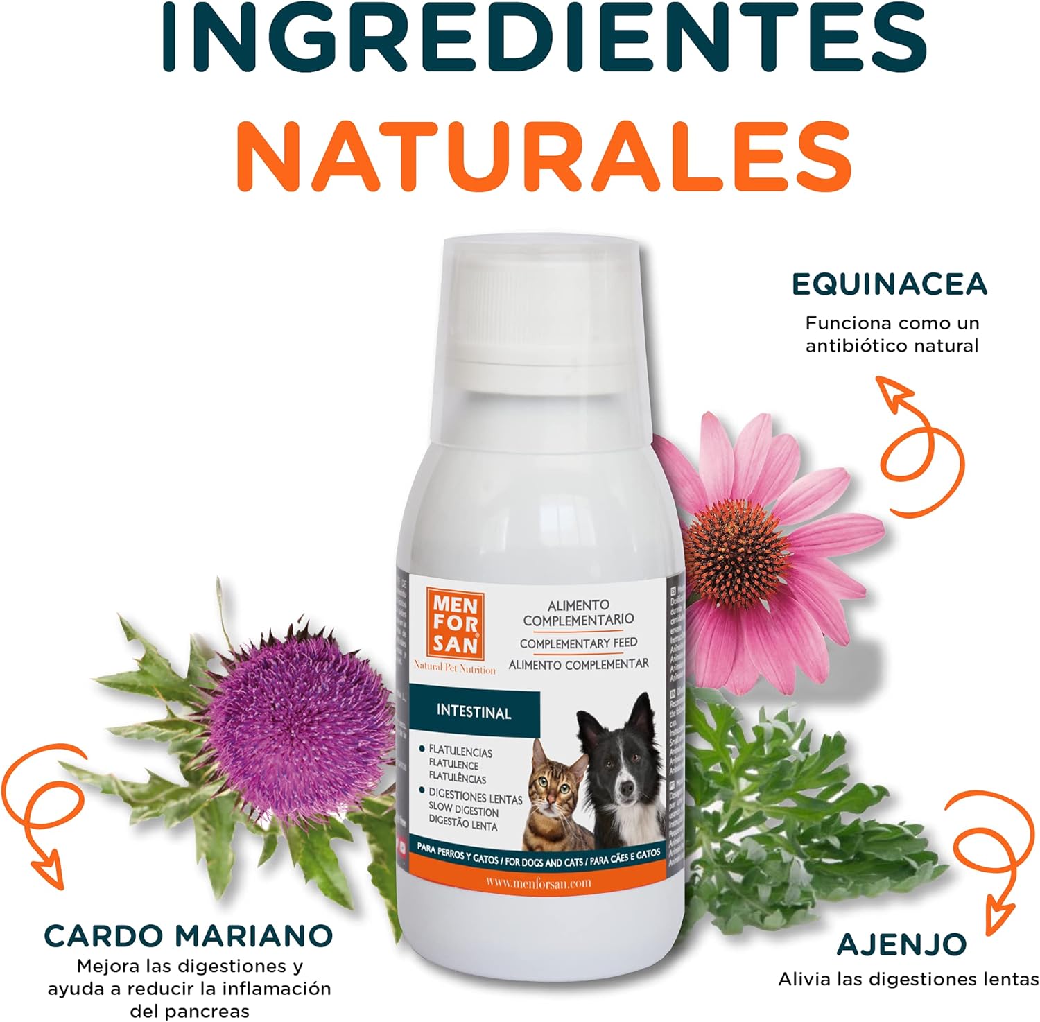 Thumbnail 4 de MENFORSAN Alimento complementare liquido per cani e gatti con problemi intestinali 120 ml