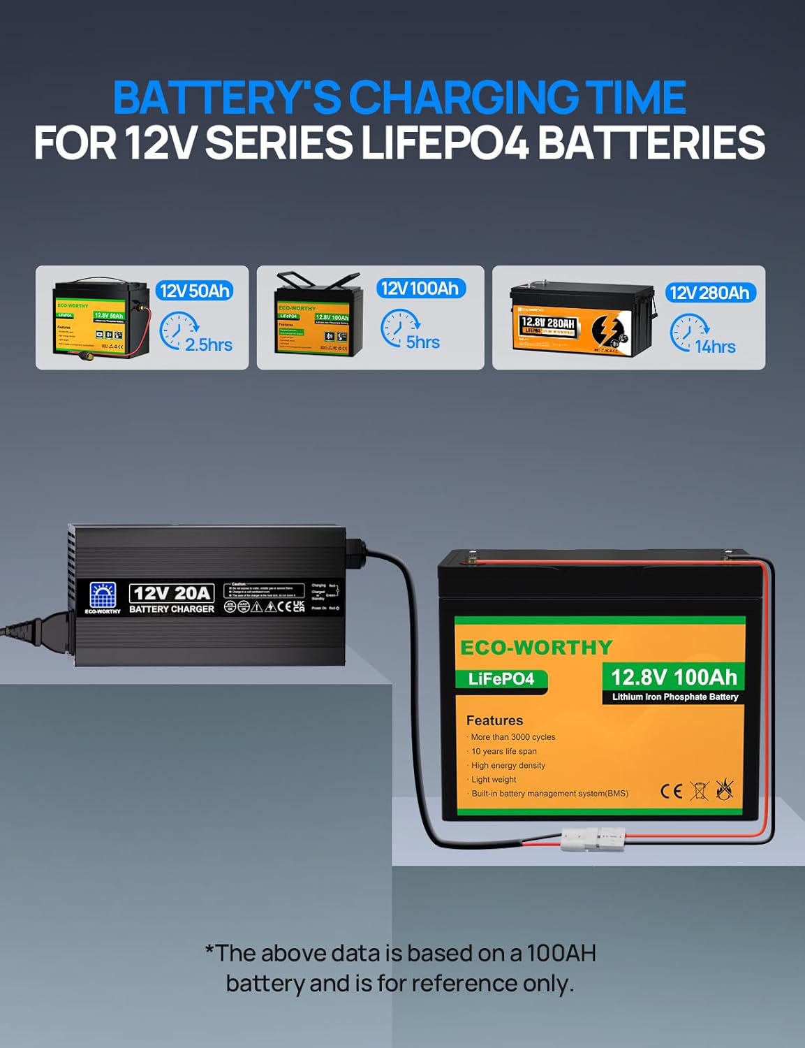 Thumbnail 3 de ECO-WORTHY 12V 20A LiFePO4 Battery Charger ⚡