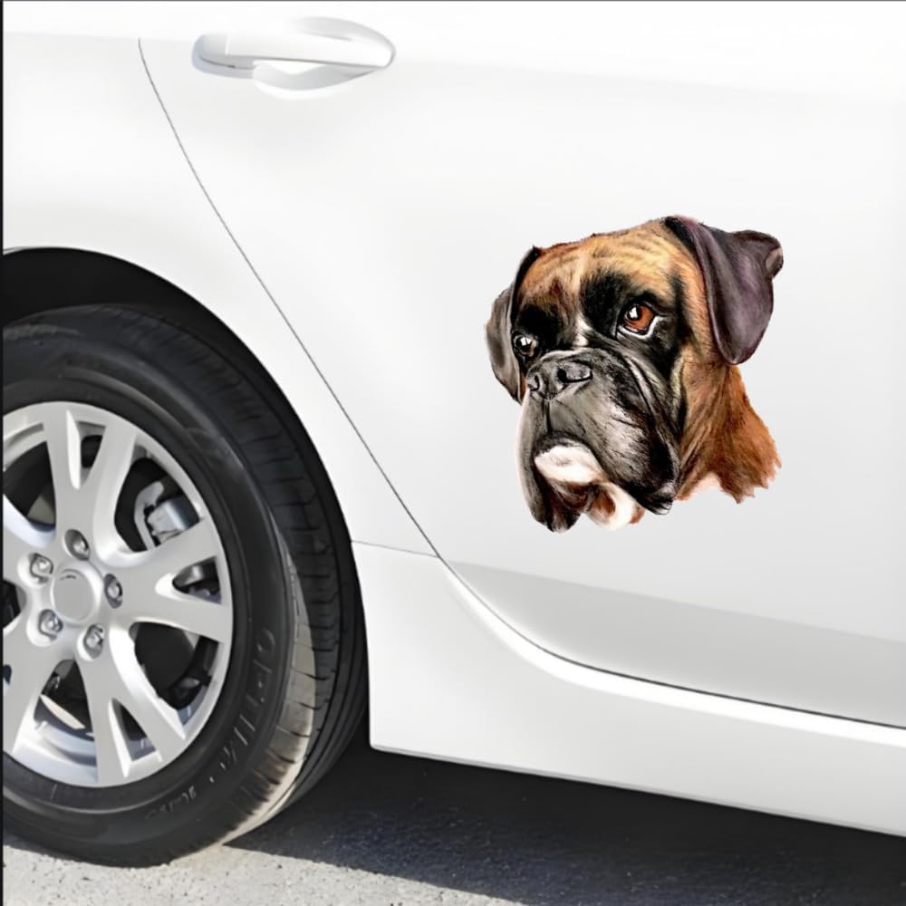 Thumbnail 2 de TIZIKJ Boxer Aufkleber 22 cm