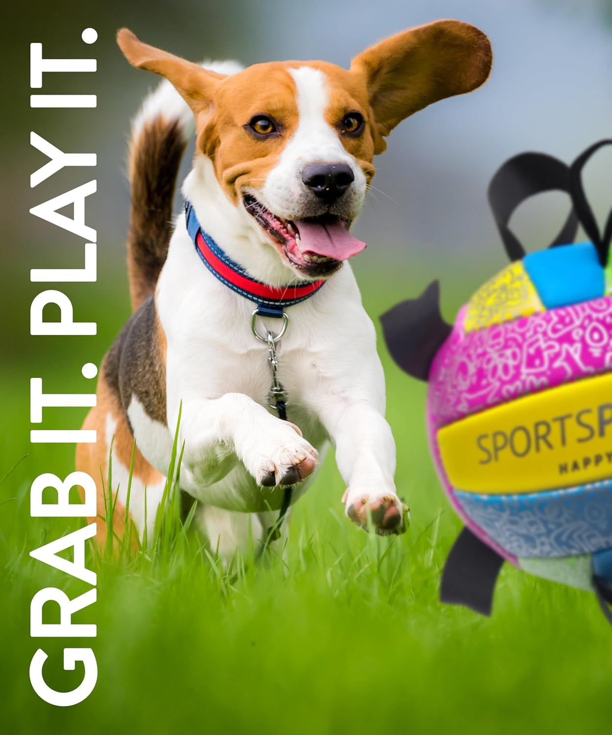 Detalle de SPORTSPET Dog Football with Grab Tabs (Small, Multicolour) – Durable PU interactive water toy