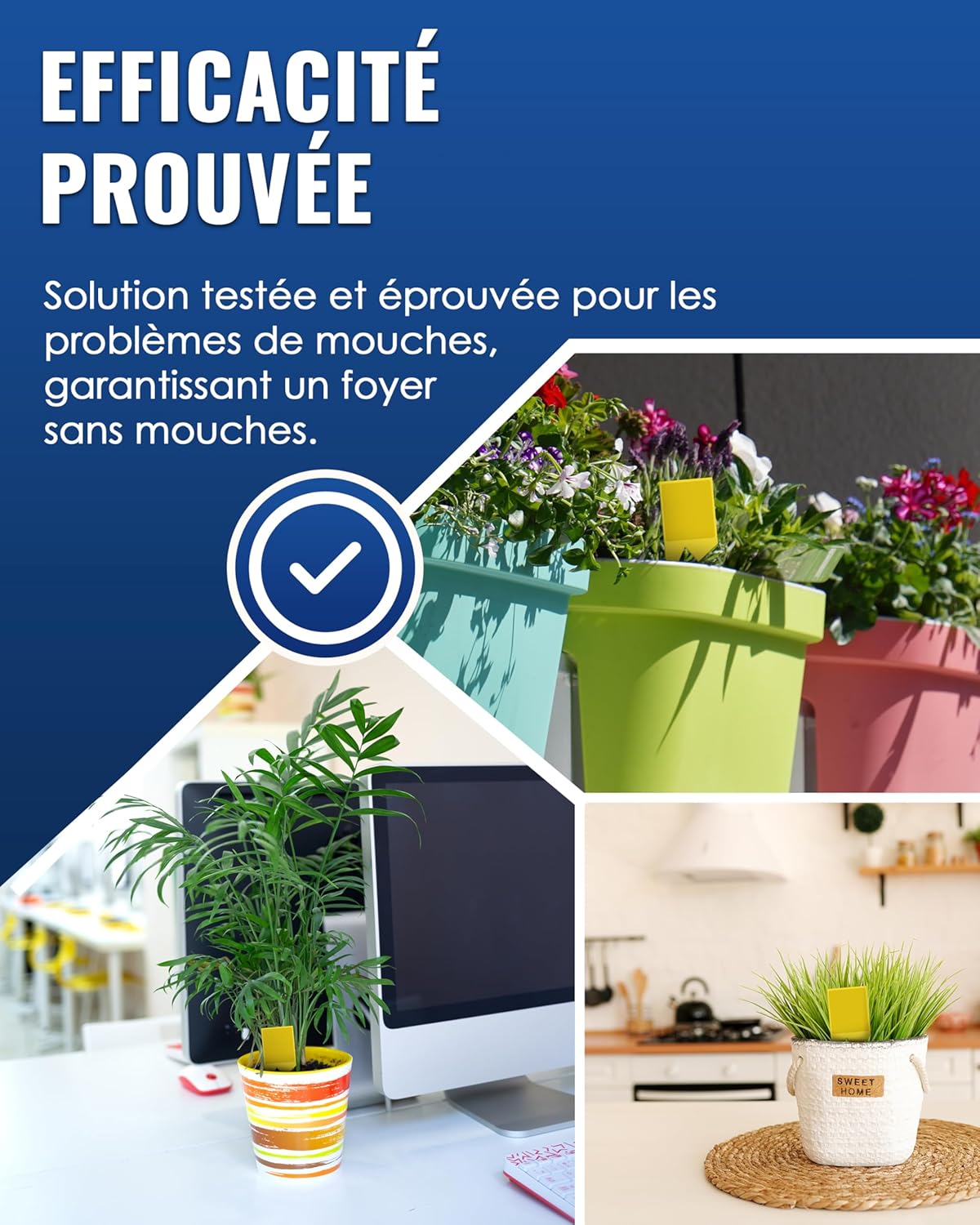 Thumbnail 6 de PIC Piège anti-moucherons pour plantes d’intérieur (60 pièges adhésifs recto-verso)