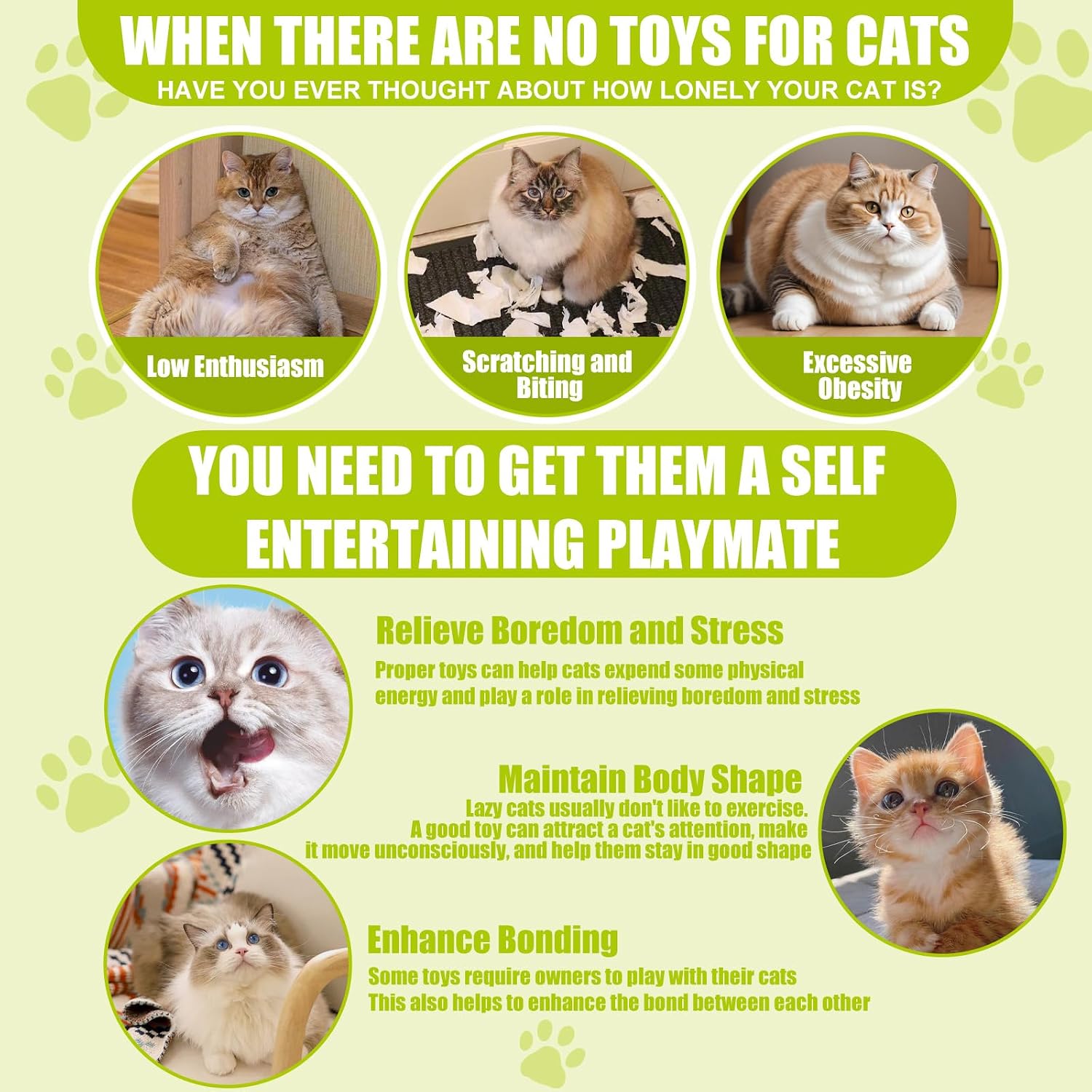 Thumbnail 3 de ACETEND 13-Piece Interactive Cat Feather Toys with Suction Cup and 2 Wands