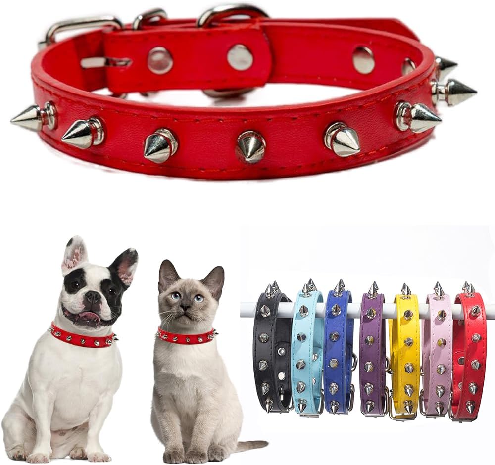 Detalle de Spiked Dog Collar in PU Leather