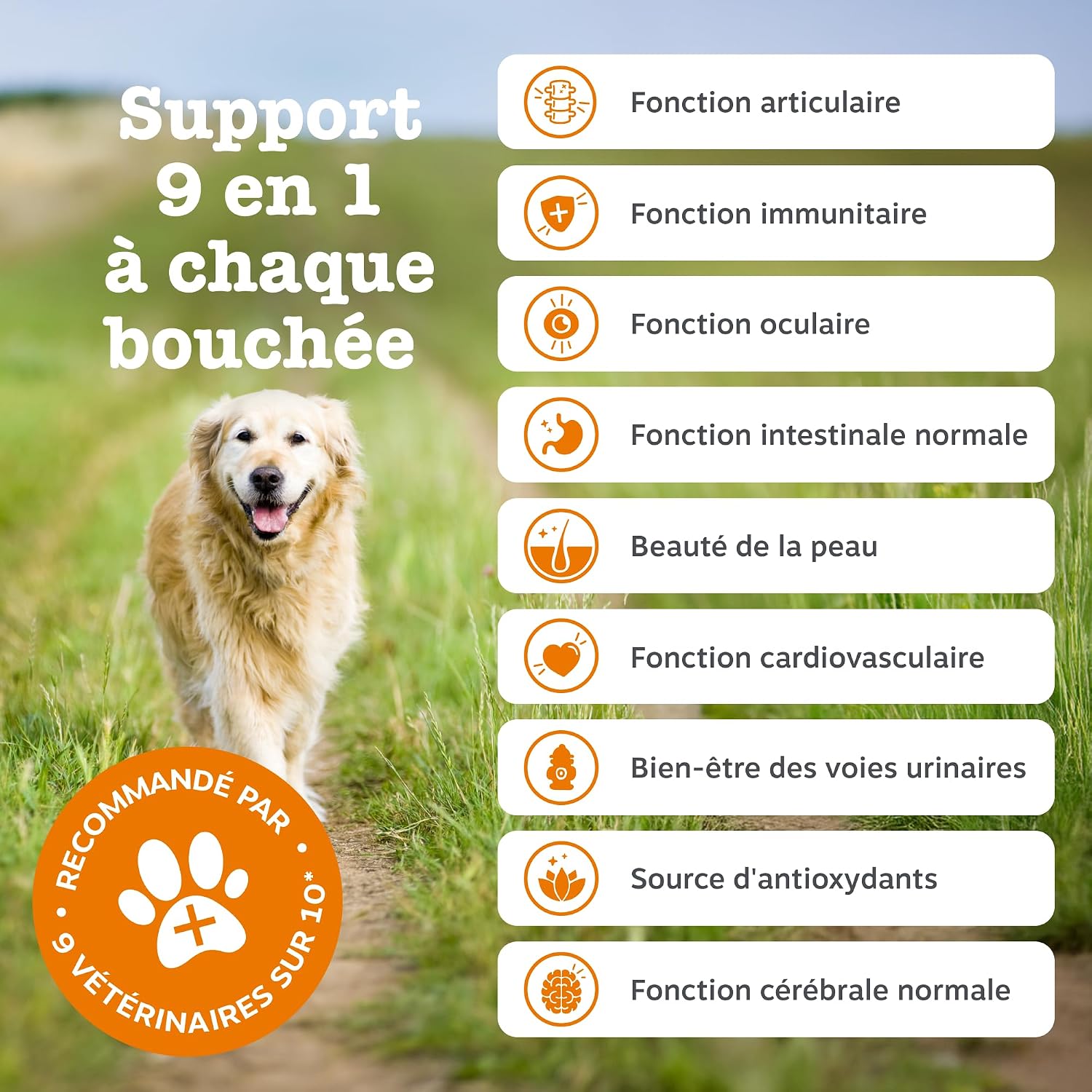 Detalle de Zesty Paws 9-in-1 Multifonctions pour Chien Senior – Friandise cœur moelleux, 90 unités