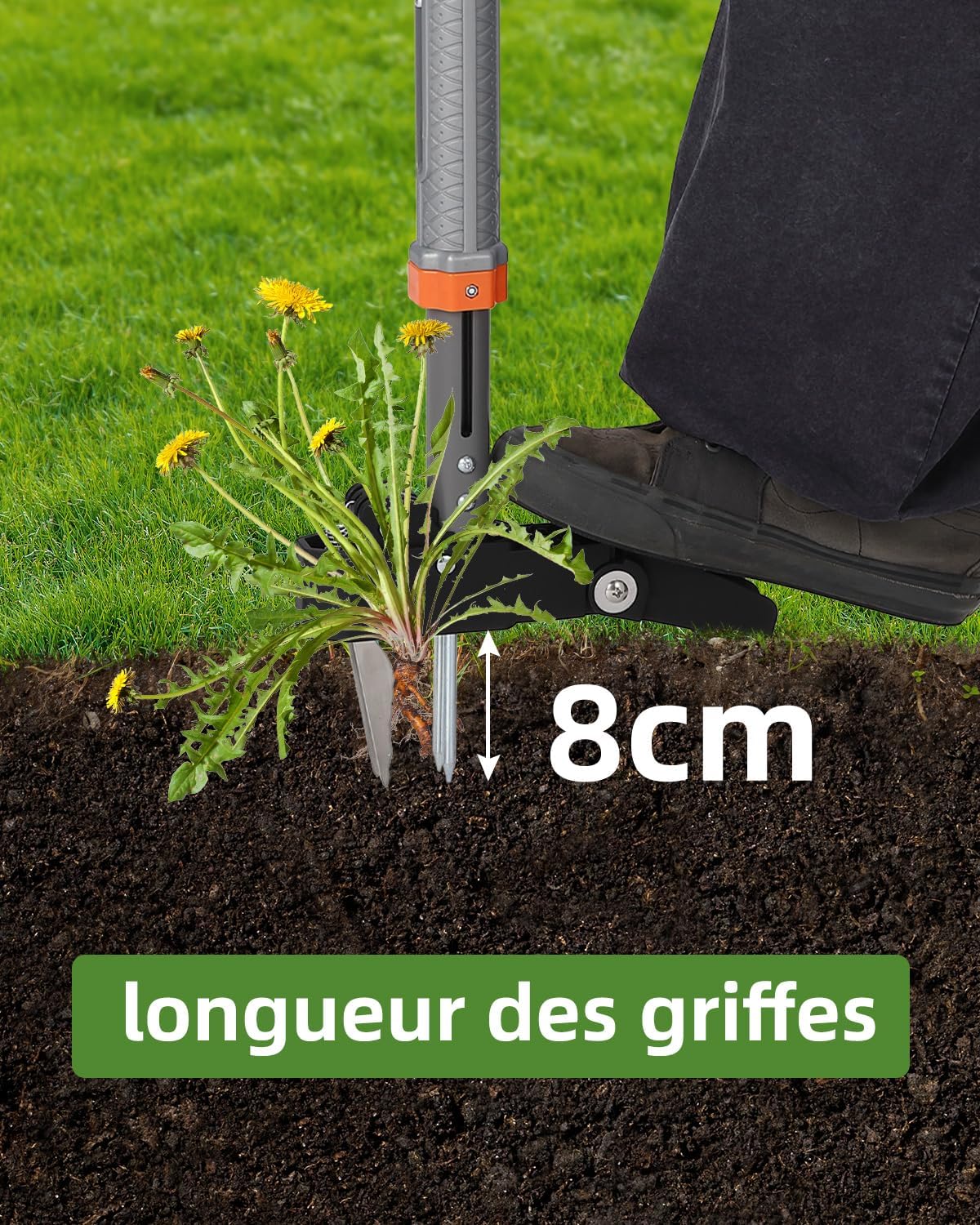Detalle de HAUSPROFI Désherbeur Manuel Extensible (91–117 cm) avec Sac de Jardin 50 L – 4 Dents et Retour Automatique