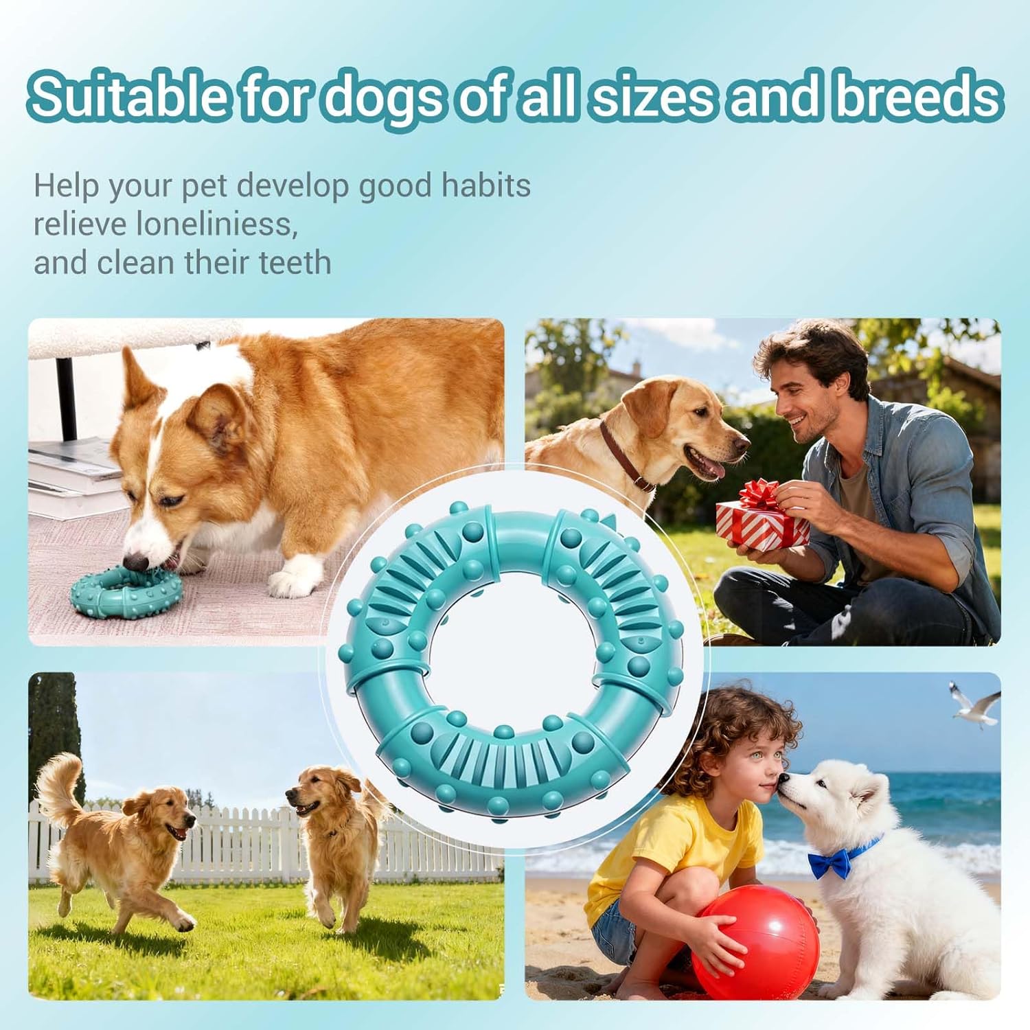 Thumbnail 2 de FSZMMJJ natural solid rubber dog chew ring toy (blue) for aggressive chewers