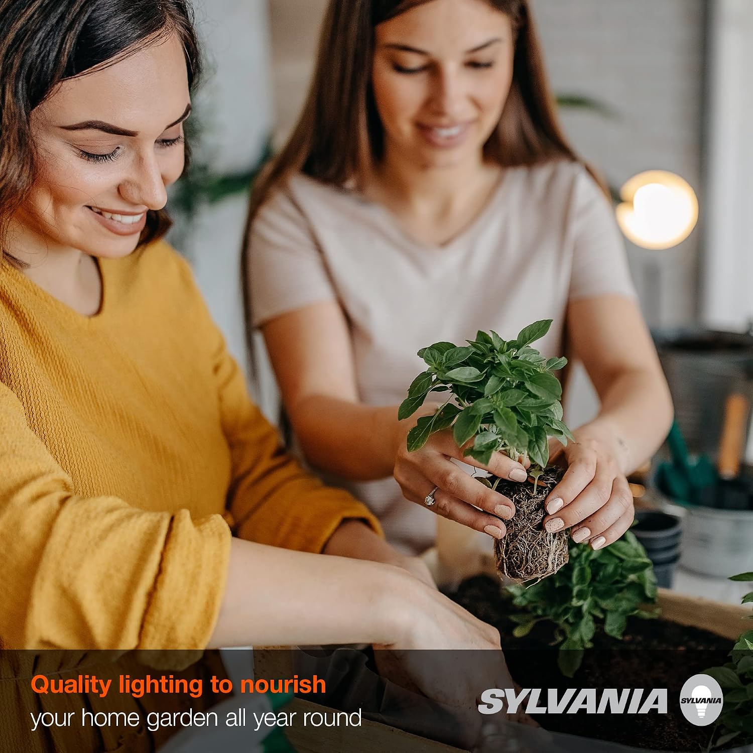 Thumbnail 3 de SYLVANIA 40023 A21 LED Grow Lamp, Frosted Finish, E26 Base