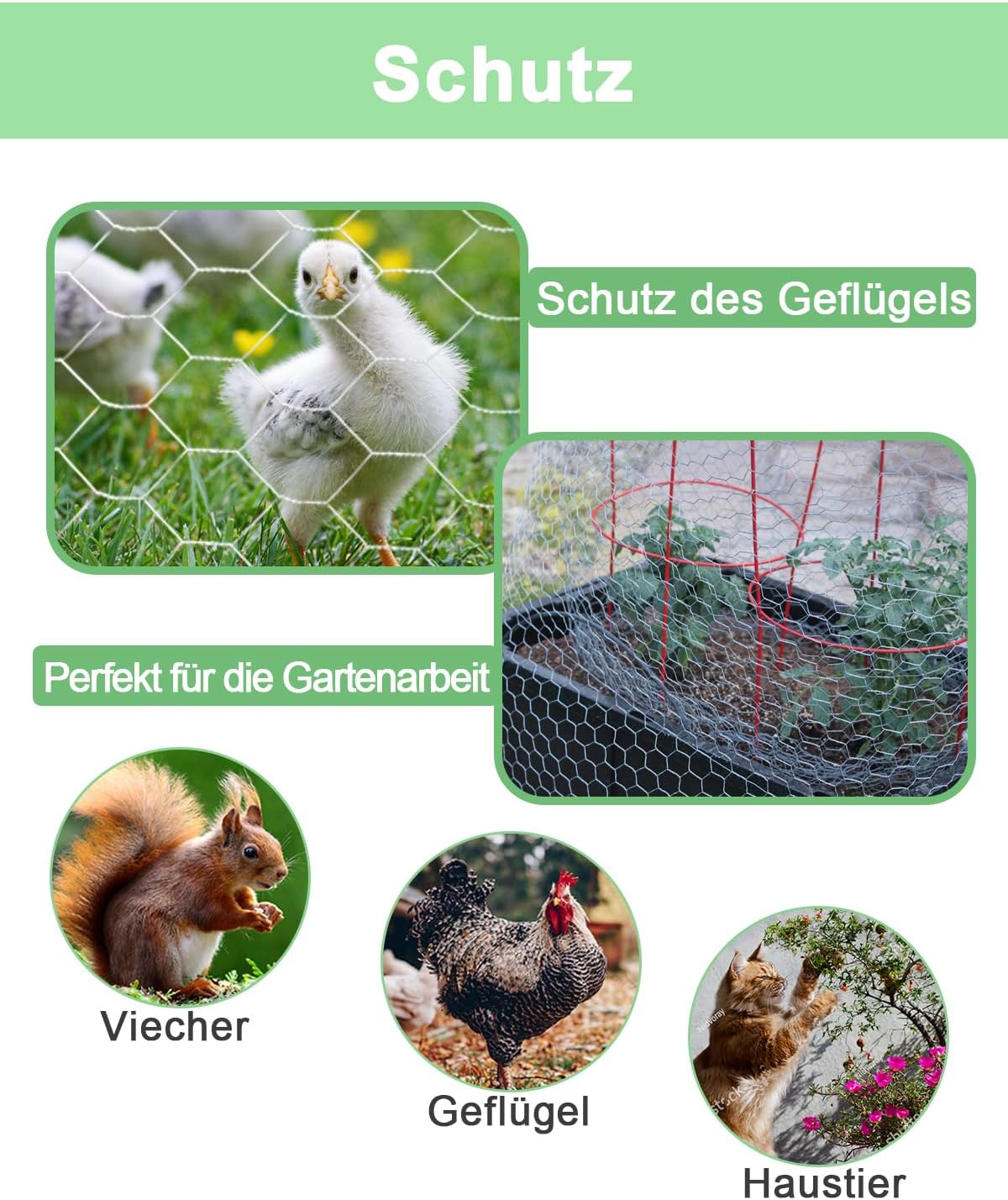 Thumbnail 3 de Hühnerdraht Hasendraht Verzinkt Silber 42×600 cm