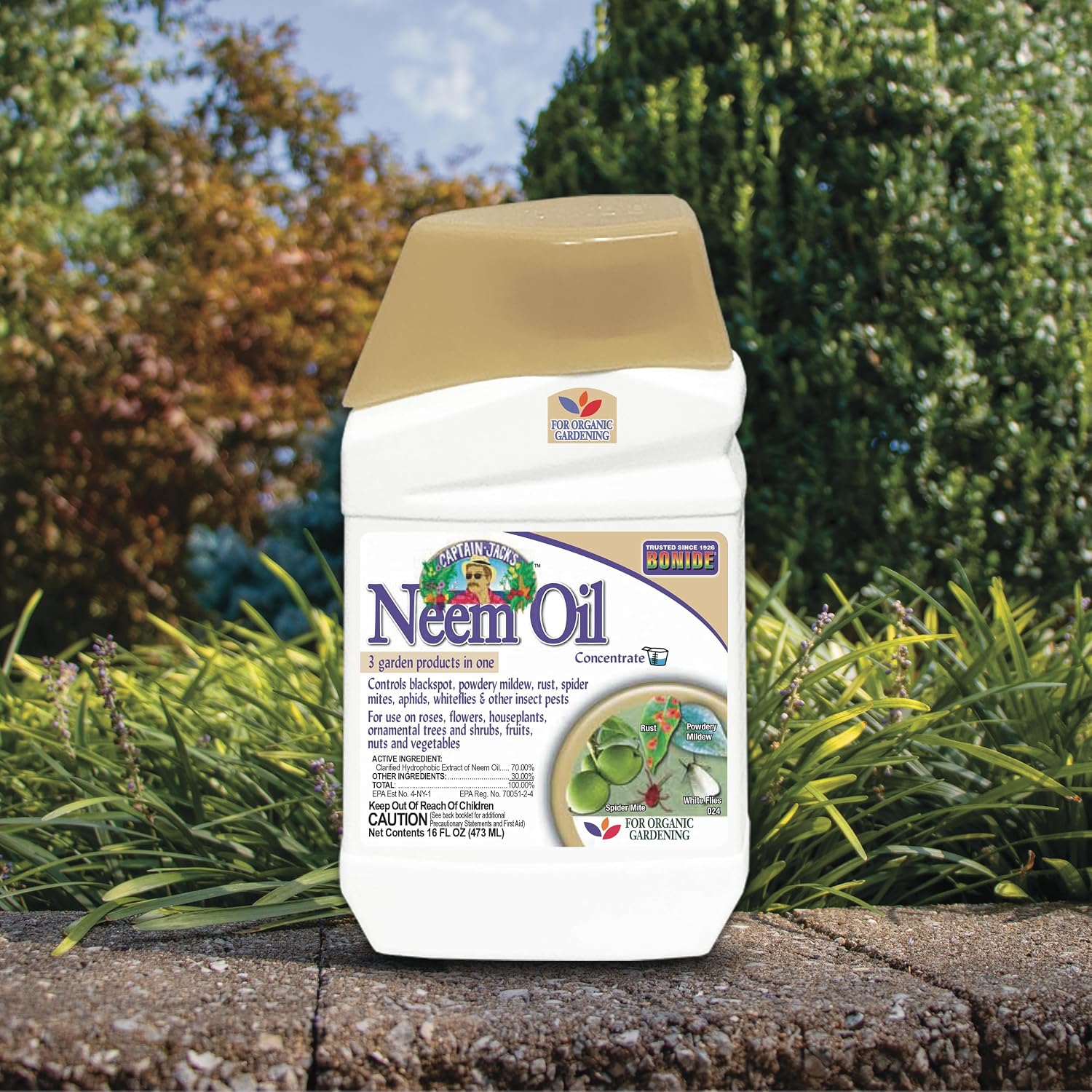 Thumbnail 6 de Bonide Captain Jack's Neem Oil Concentrate, 16 oz. Multi-Purpose Garden Spray