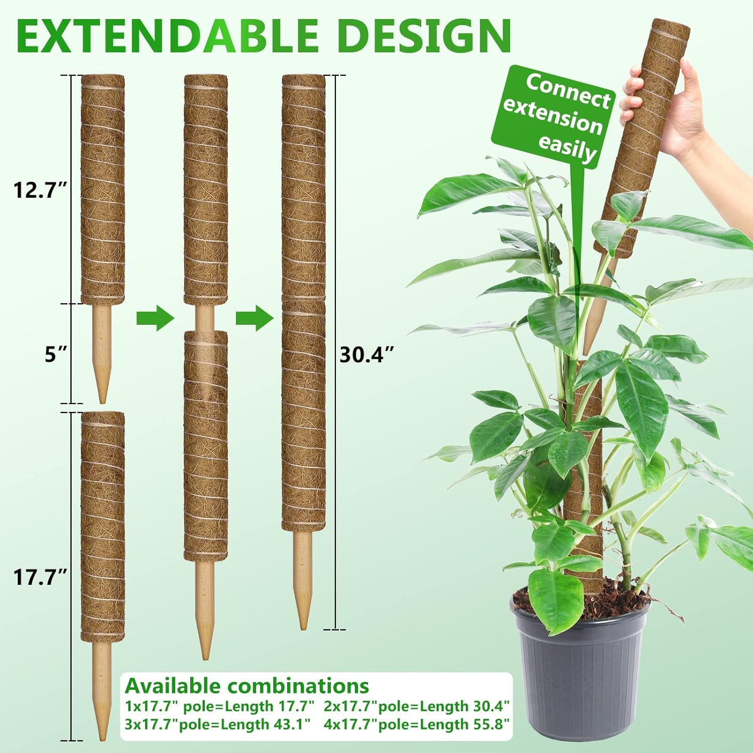 Detalle de Moss Pole 56 Inch 142cm | 4 Pack Coir Moss Poles for Monstera & Climbing Houseplants