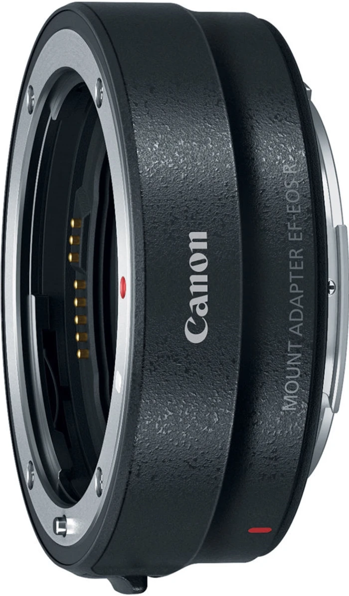 Detalle 2 de Canon EOS R6 Mark II 24,2‑Megapixel