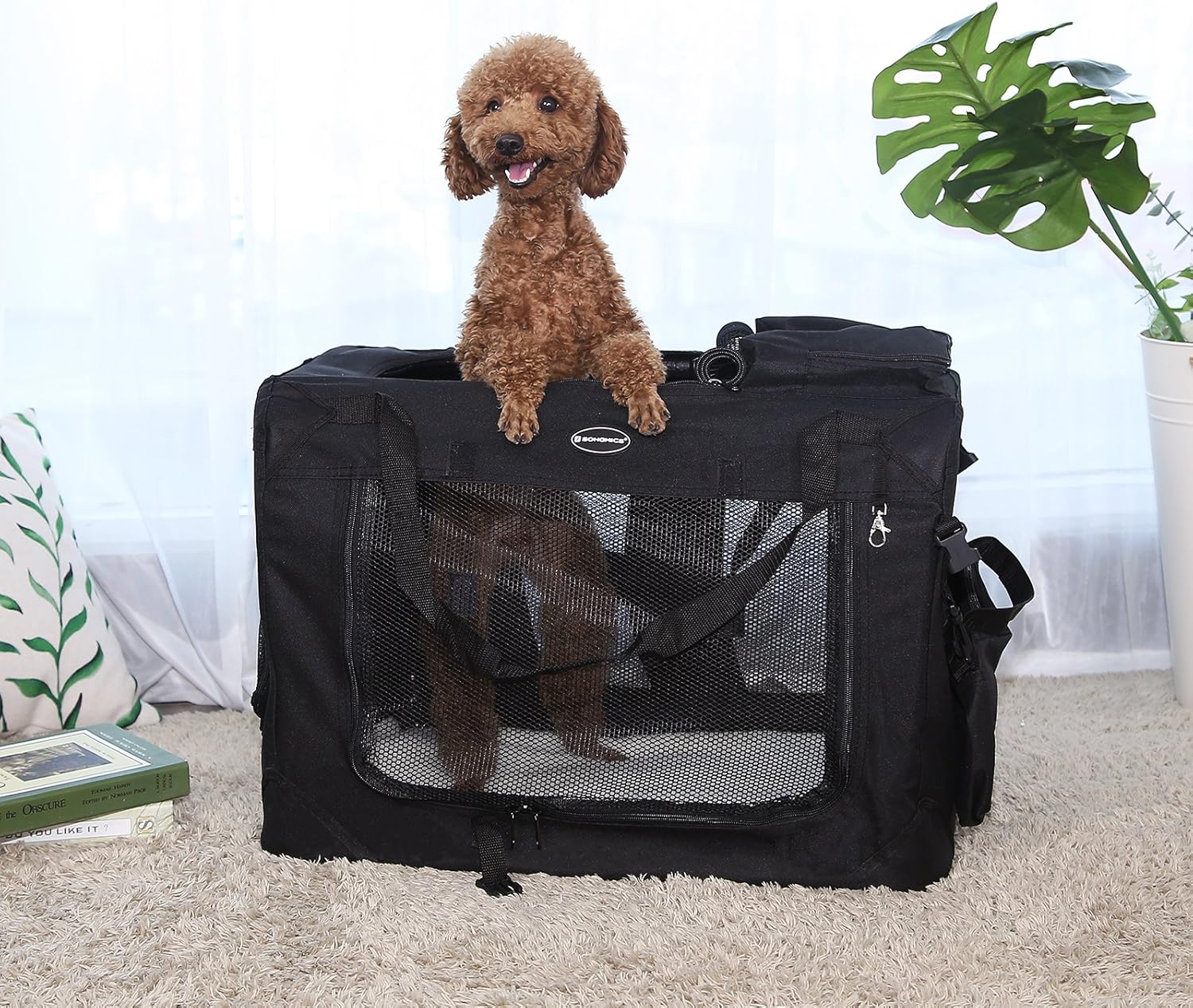 Detalle 2 de Feandrea faltbare Hundebox XL 81 × 58 × 58 cm – Transportbox Hund mit Metallrahmen (PDC80H)