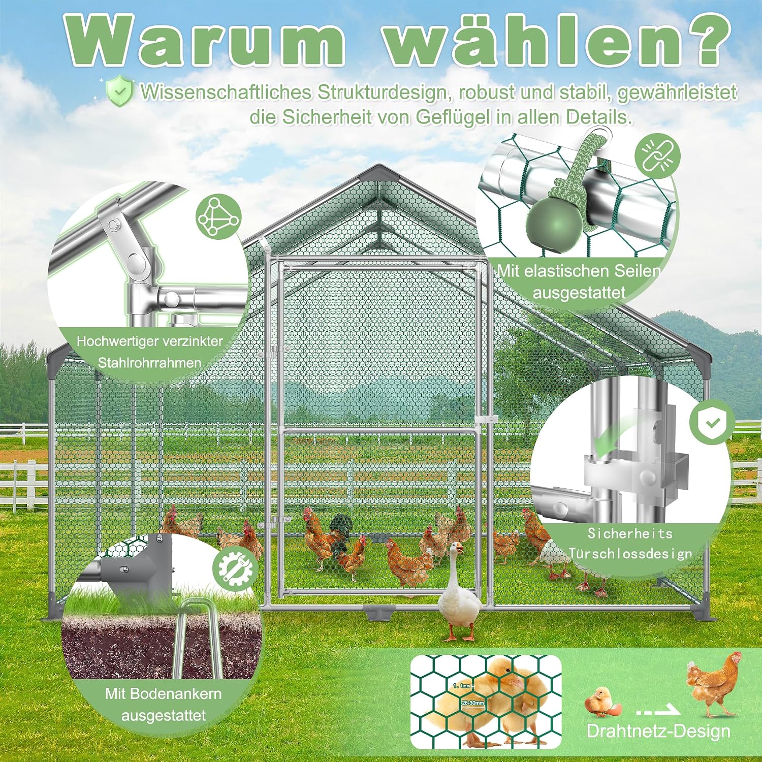 Detalle de LZQ LZQ-HAG8344A kippenren 3 x 2 x 2 m met verzinkt staal en PE-dak