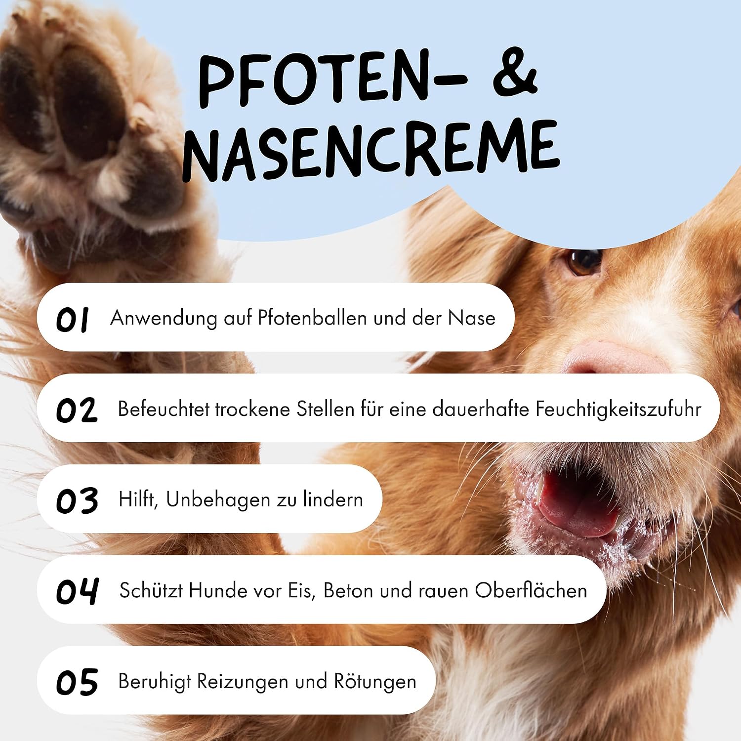 Detalle 2 de Belly® Pfotenbalsam Hund – 50 ml, Winterpfotenpflege gegen Eis, Streusalz und Trockenheit