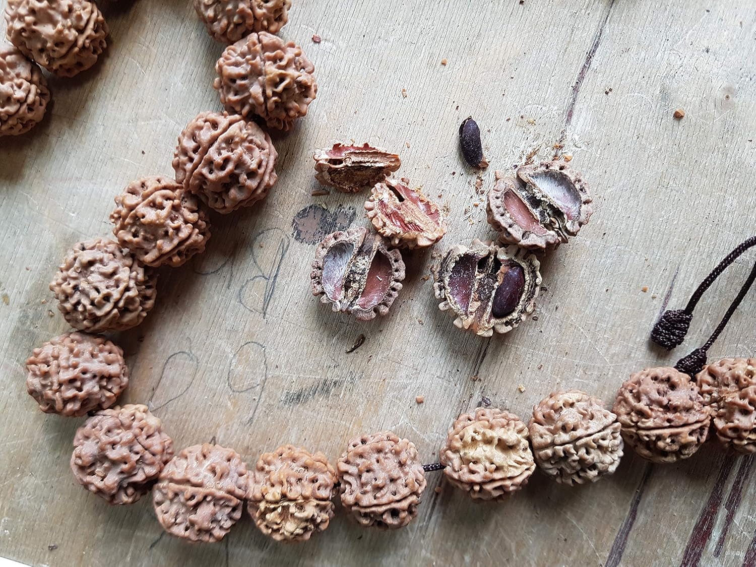 Thumbnail 1 de Buddhafiguren Billy Held Mala Rudraksha Beads – Chapelet bouddhiste en perles 17 mm