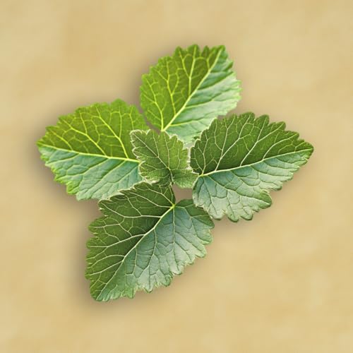 Thumbnail 3 de Elie Saab Le Parfum Lumière 90 ml, fragancia floral amaderada