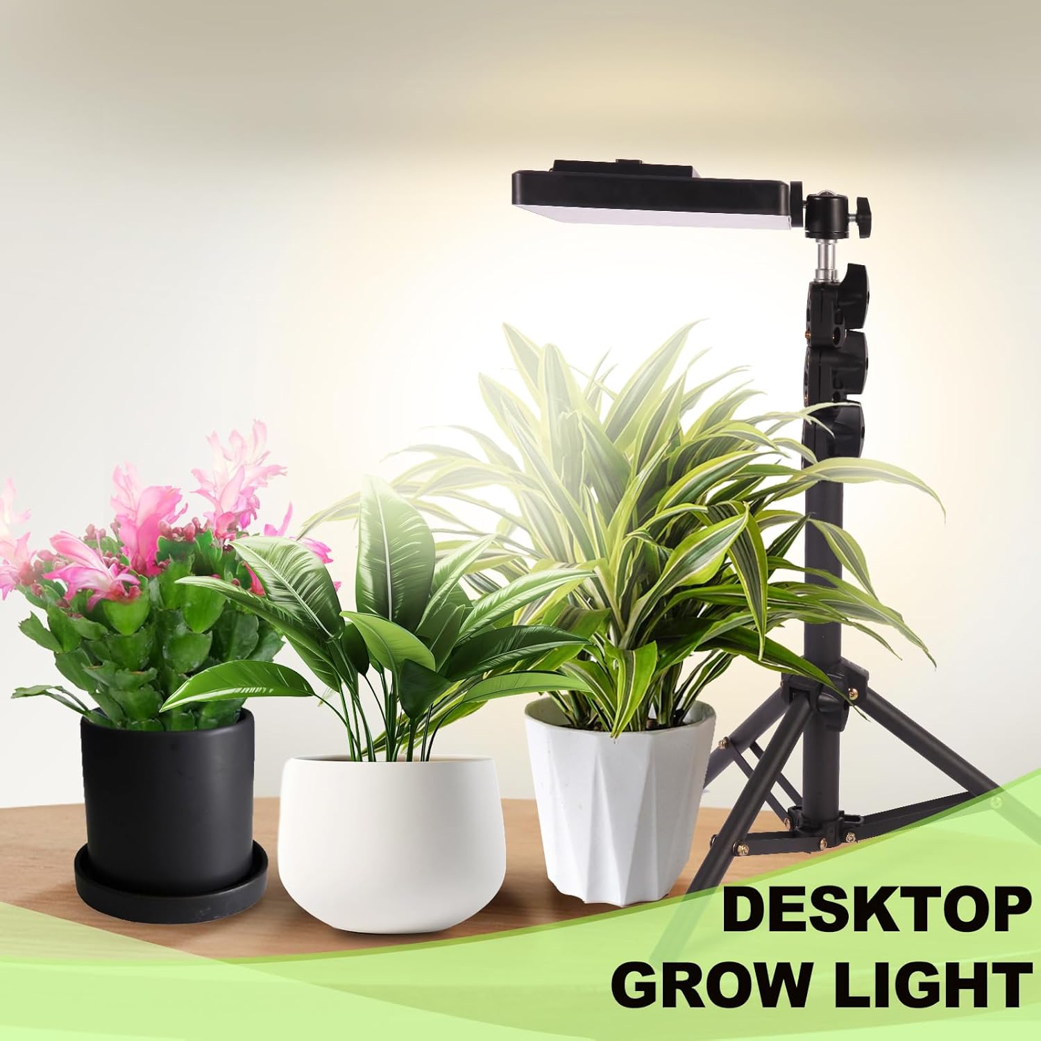 Thumbnail 5 de MICCYE Pflanzenlampe LED Vollspektrum mit 286 LEDs 🌱