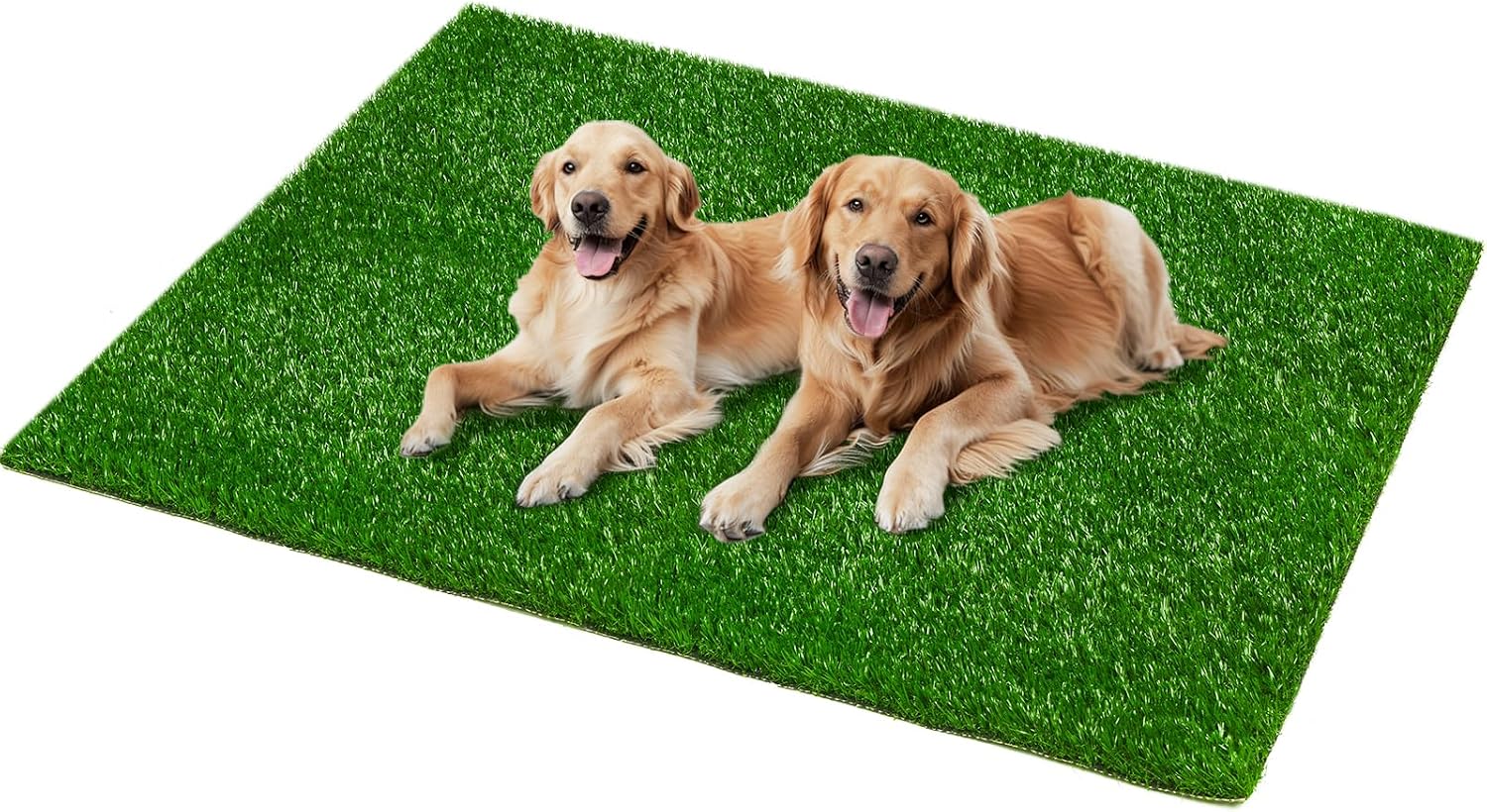 Detalle de Dog Grass Mat 80 x 100cm: Strong Absorbency, Soft Artificial Puppy Grass for Potty Training