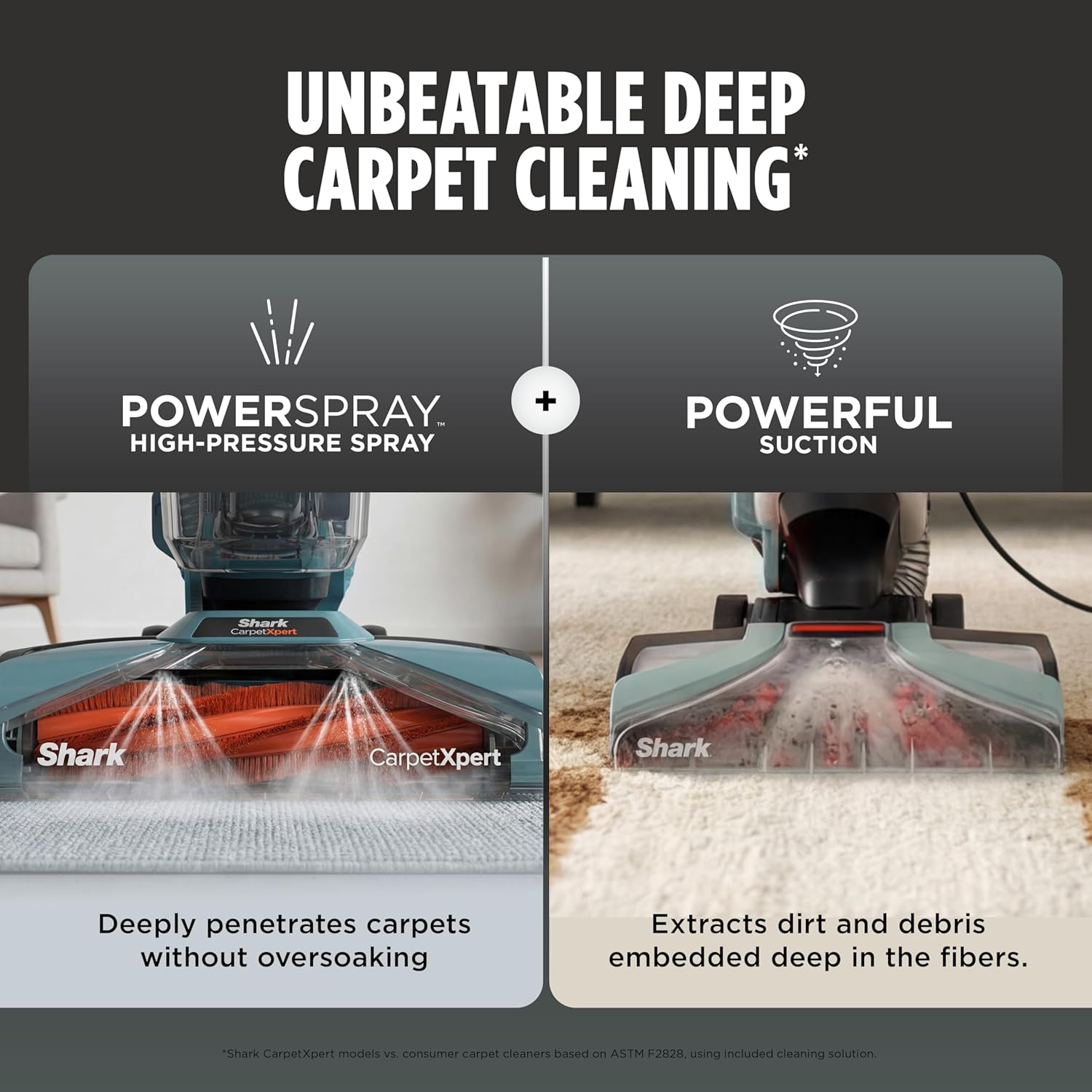 Detalle 2 de Shark CarpetXpert EX151 Carpet Cleaner