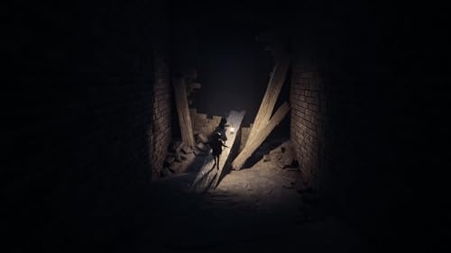 Detalle de REANIMAL – PlayStation 5