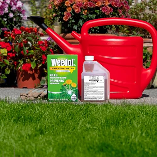 Thumbnail 2 de Weedol Lawn Weedkiller, Concentrate (500ML) – Kills Weeds Not Lawns