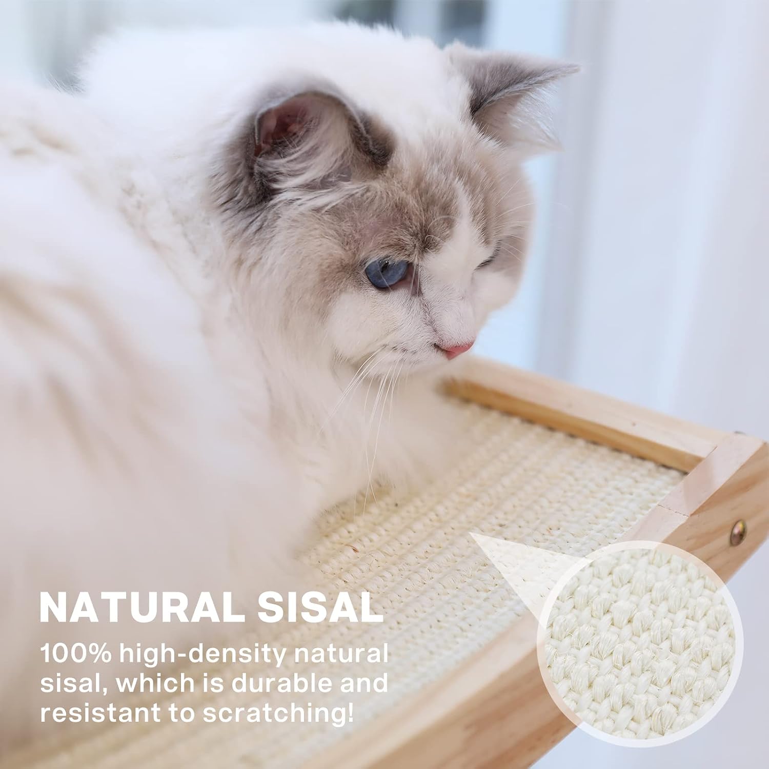 Detalle de Pecute 2 en 1 Hamac de fenêtre pour chat – hamac + griffoir en sisal avec 4 ventouses (jusqu’à 15 kg)