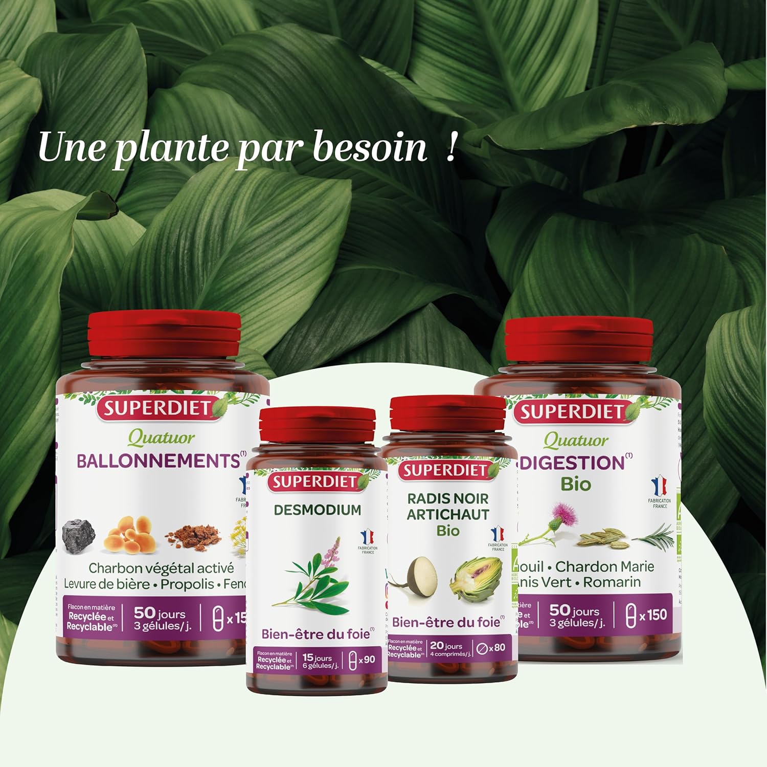 Thumbnail 5 de SUPERDIET CHARDON MARIE BIO 90 gĂ©lules đ