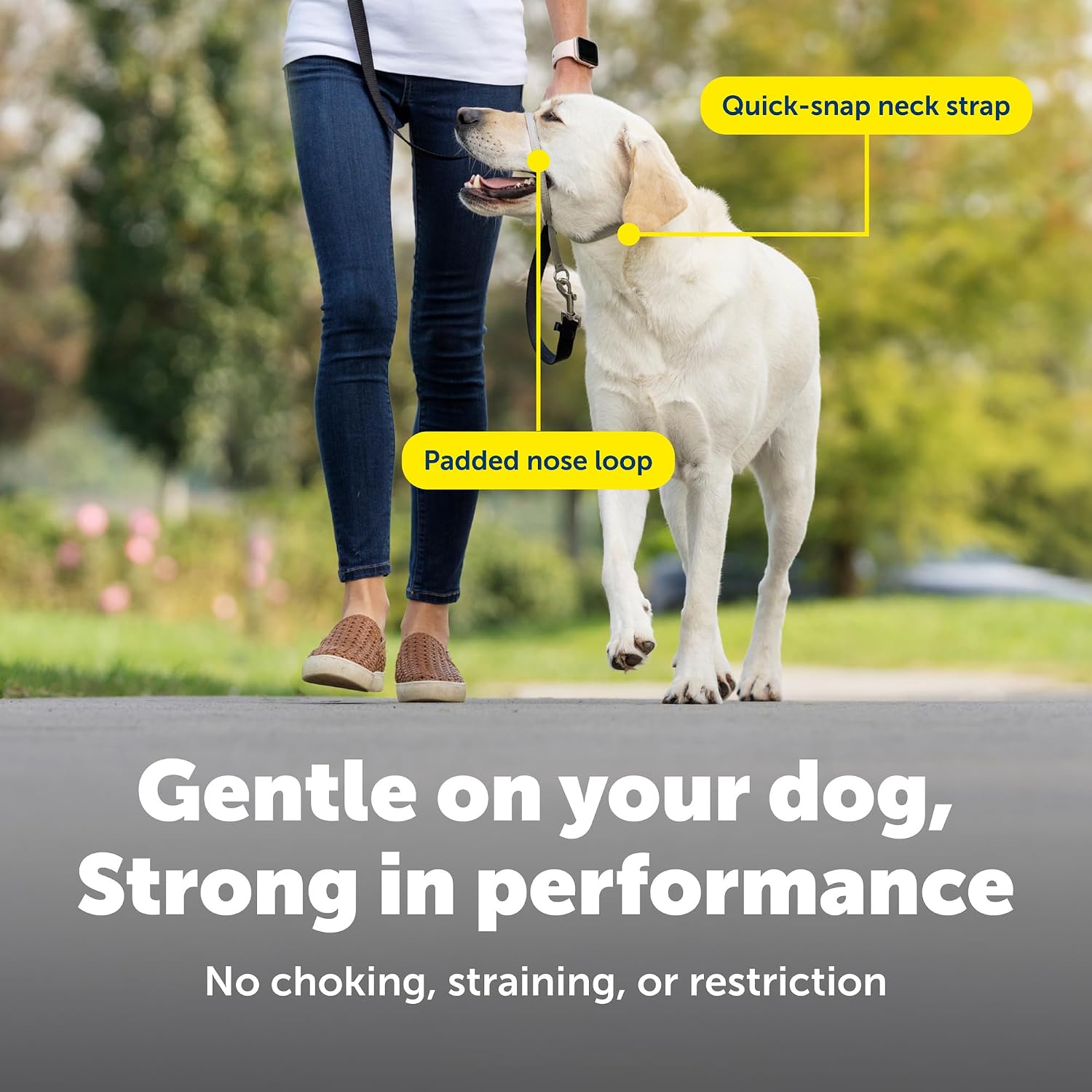 Detalle 2 de PetSafe ジェントルリーダー GL-Q-HC-S-BLK 犬用ヘッドカラー クイックリリース S ブラック