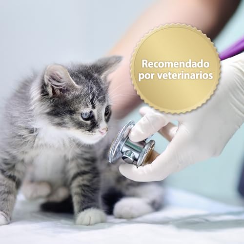 Thumbnail 4 de Felisept Home Comfort set difusor y recambio 45 ml 🐱