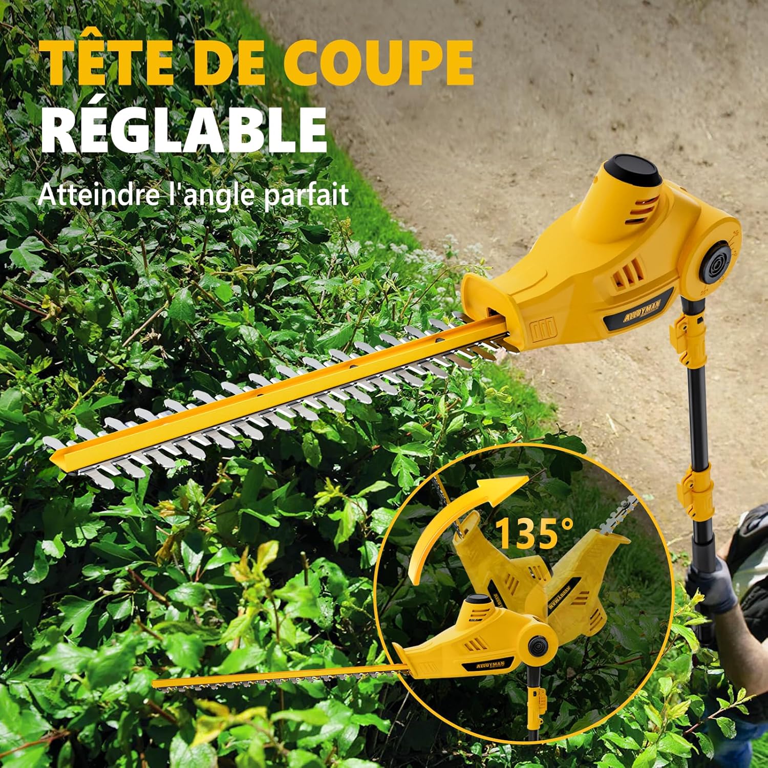 Detalle de Alloyman 20V Max Taille-haie sans Fil télescopique avec 2 Batteries 4,0 Ah et Chargeur – 2,4 m