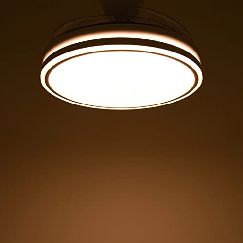 Thumbnail 5 de TODOLAMPARA.com TRACE Ventilador Techo LED 91 CM 📺