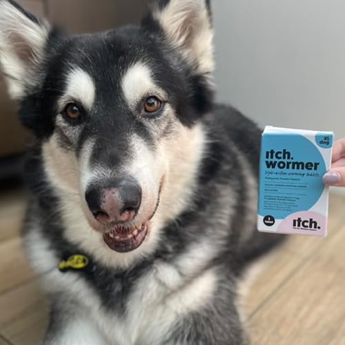 Detalle de Itch X Large Dog Wormer Tablets for Dogs 20kg+ - 2 Tablets