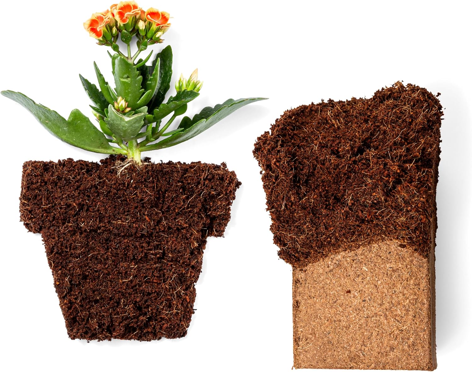 Thumbnail 6 de Plantonix Coco Bliss Coco Coir Bricks, 650 g, 10-Pack, OMRI-Listed