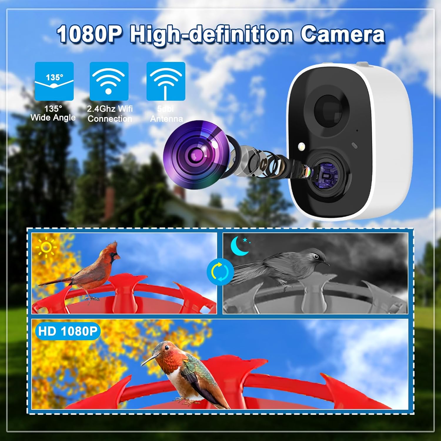 Thumbnail 6 de Hummingbird Feeder with Camera: Solar-Powered Smart Feeder with AI ID