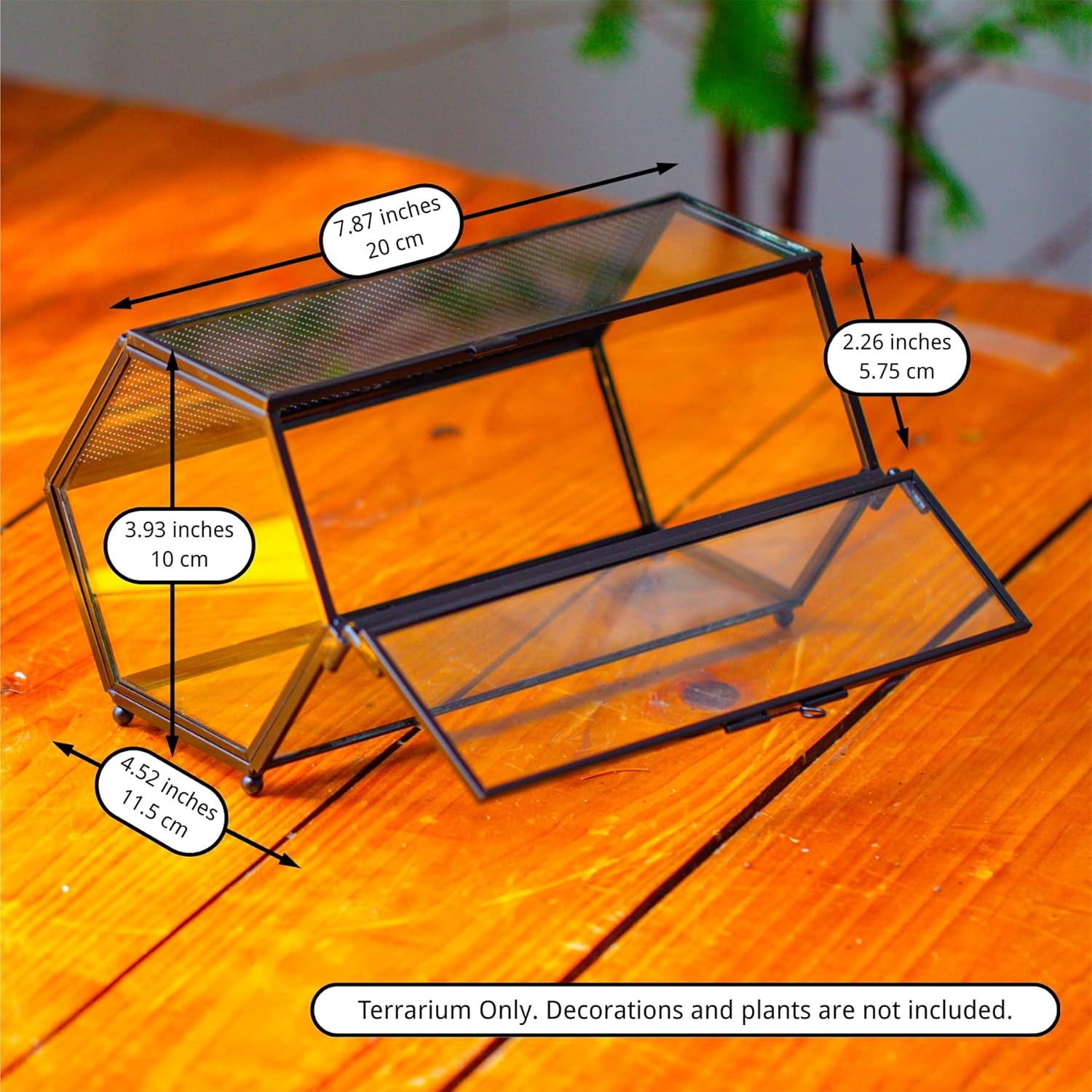 Detalle de NCYP Mini Glass Enclosure Terrarium with Mesh & Door for Jumping Spiders — Hexagon, 20 x 11.5 x 10 cm