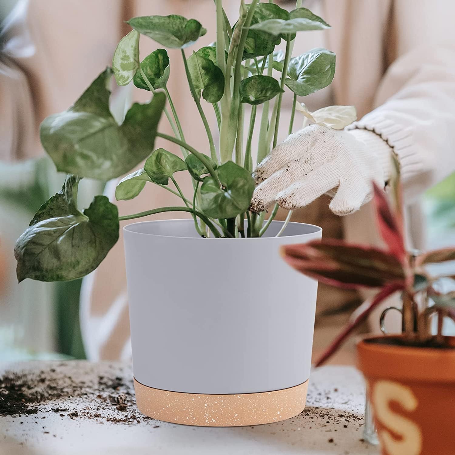 Thumbnail 4 de QCQHDU 20cm Plant Pot (2 Pack) with Drainage Holes and Saucer – Light Grey