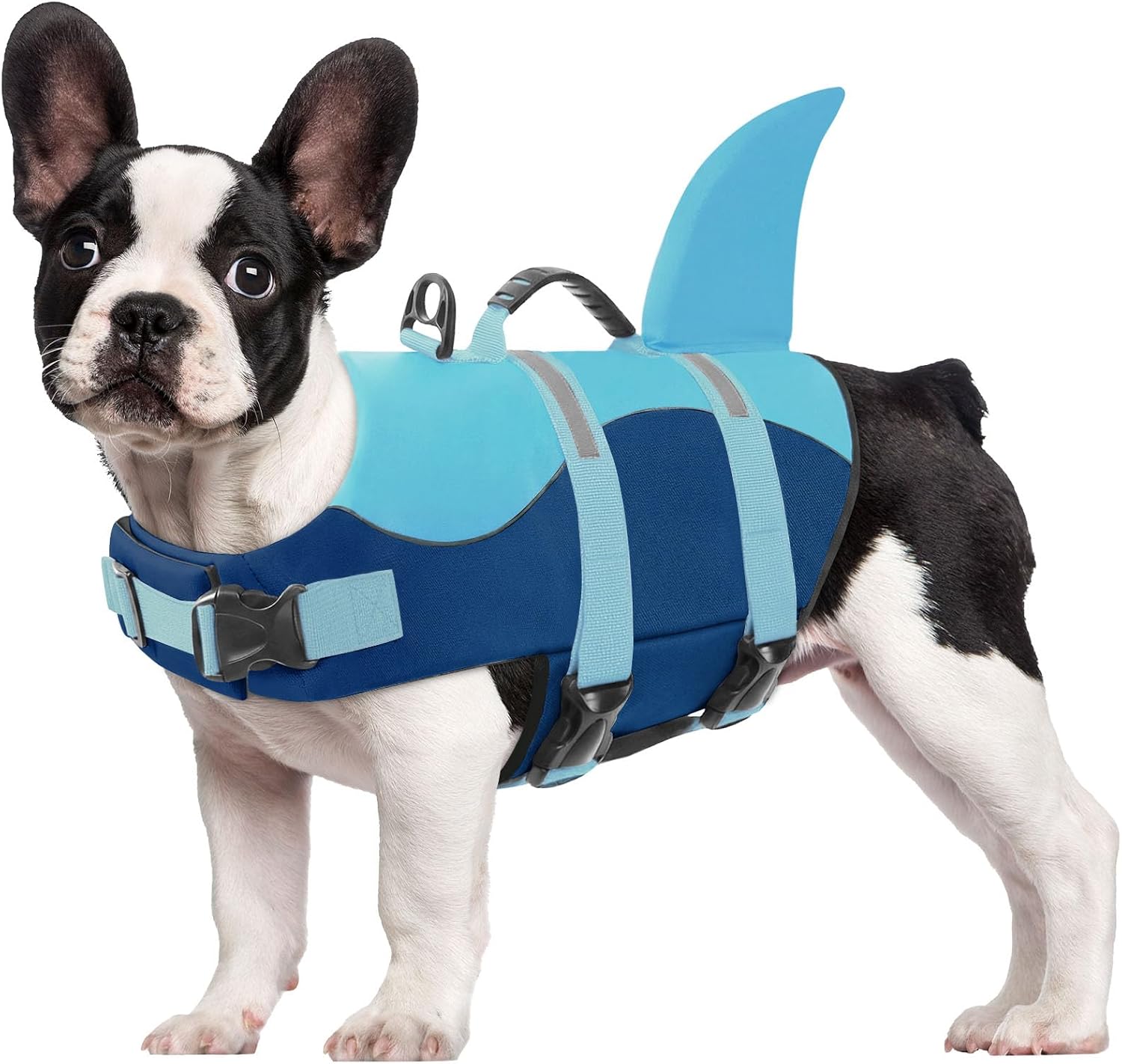 Detalle de CITÉTOILE Schwimmweste Hund Hai – verstellbare Rettungsweste mit Griff, Reflektoren und Hai-Design