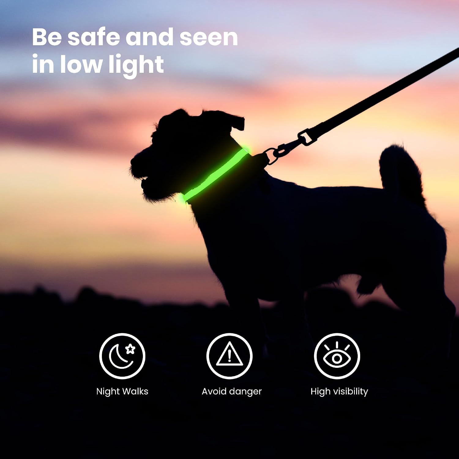 Detalle de Fun Pets LED Dog Collar 50–60cm