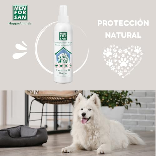 Thumbnail 4 de MENFORSAN Antiparasitario para el hogar (250 ml) – Pack de 2 contra chinches, pulgas e insectos