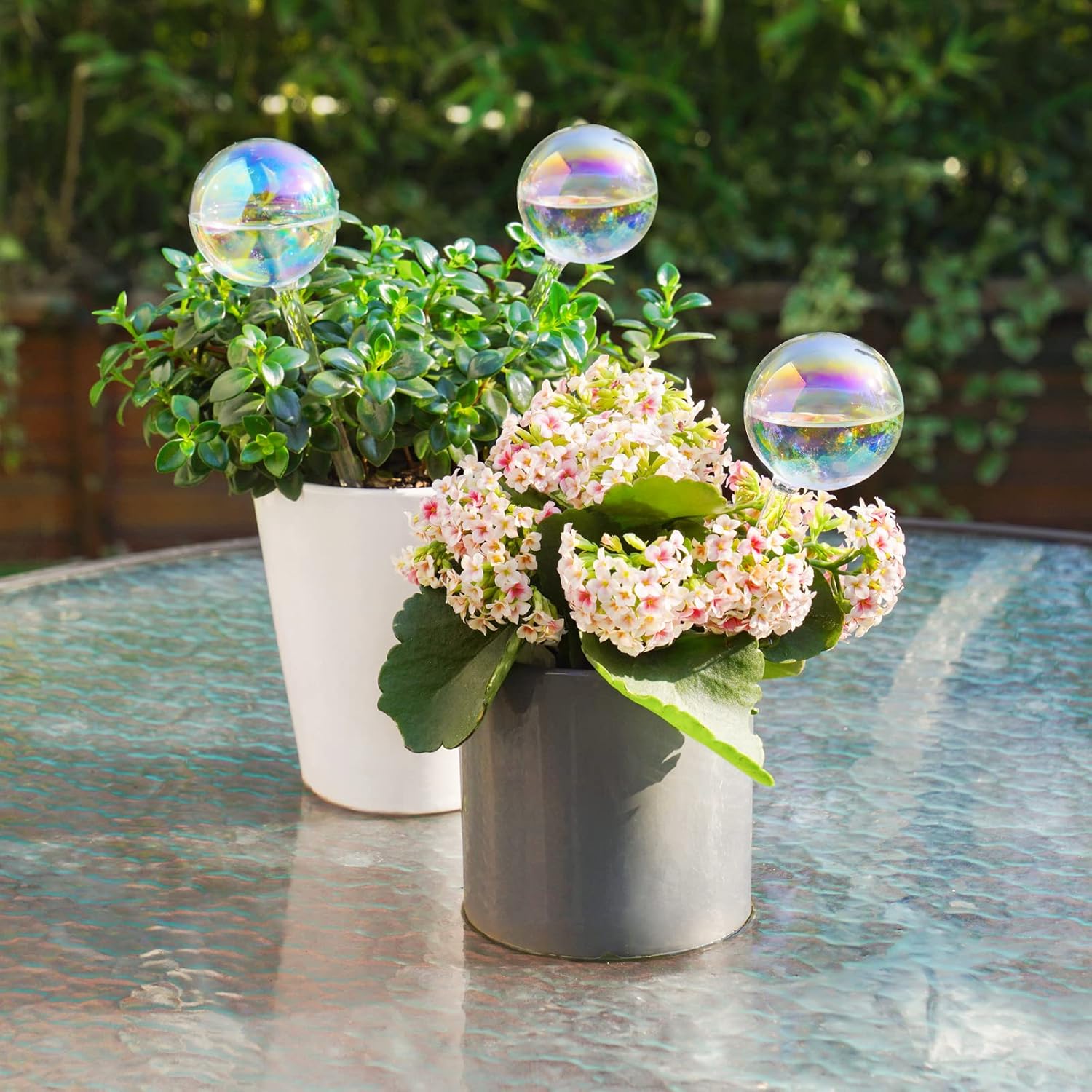 Detalle de Selbstbewässernde Glühbirnen – automatische Pflanzenbewässerungskugeln aus Glas, 3er-Set