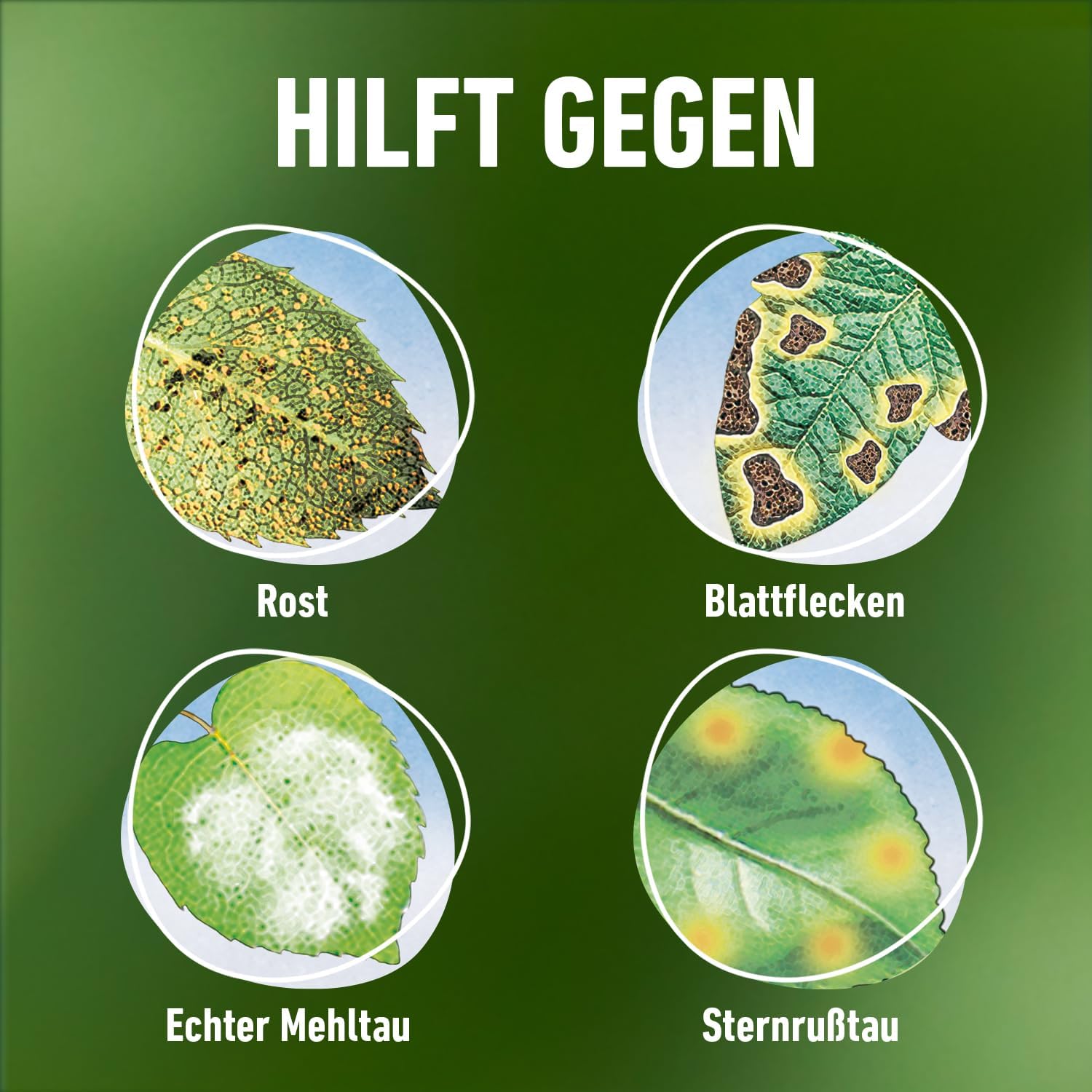 Detalle 2 de Compo Duaxo Universal Pilz-frei AF – Anwendungsfertiges Fungizid-Spray für Zierpflanzen, Kräuter und Gemüse (750 ml)