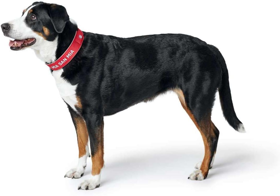 Detalle de Hunter Neopren Reflect FC Bayern München Hundehalsband, M-L (55), rot/grau