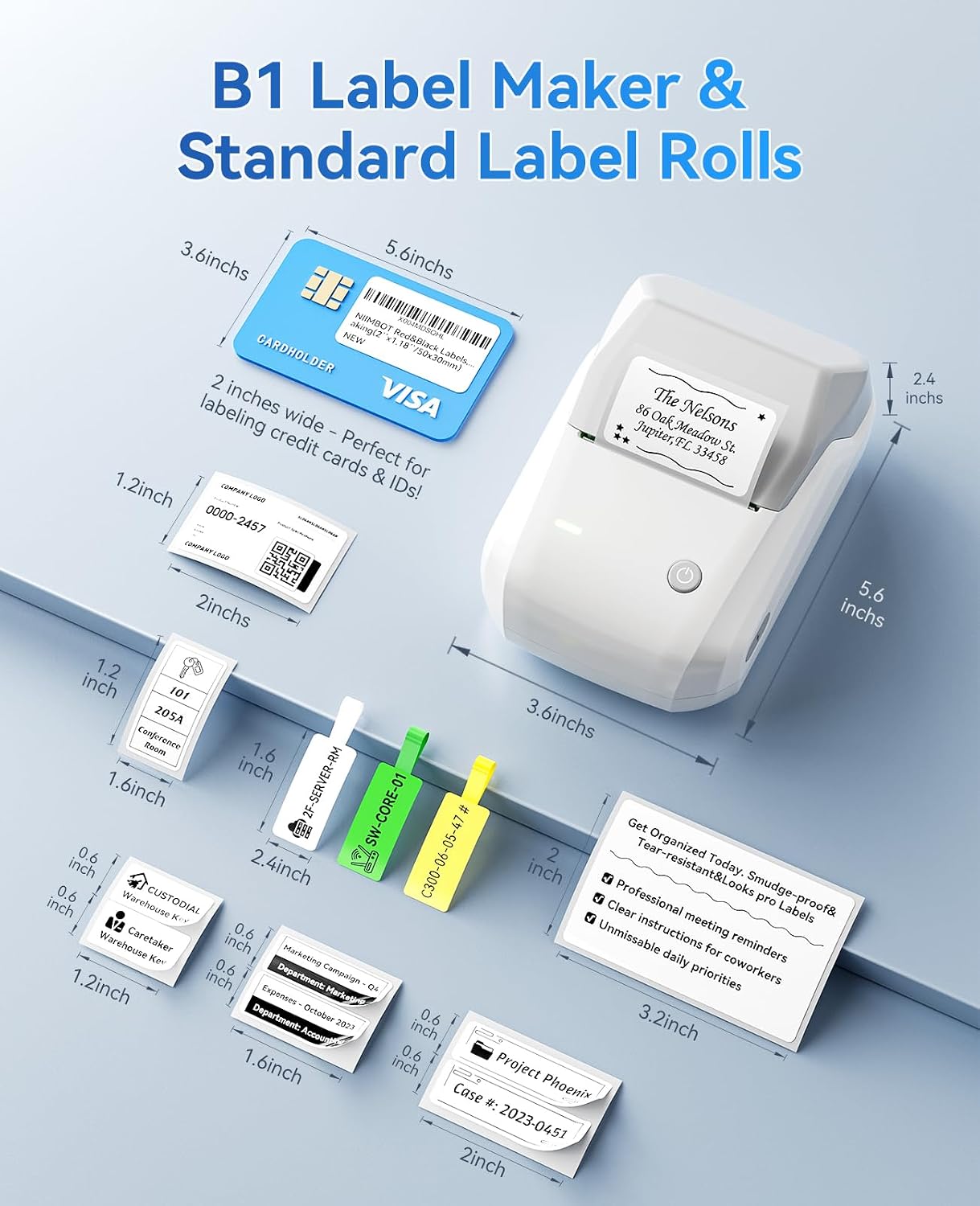 Detalle 2 de NIIMBOT B1 Bluetooth label maker 2 inch