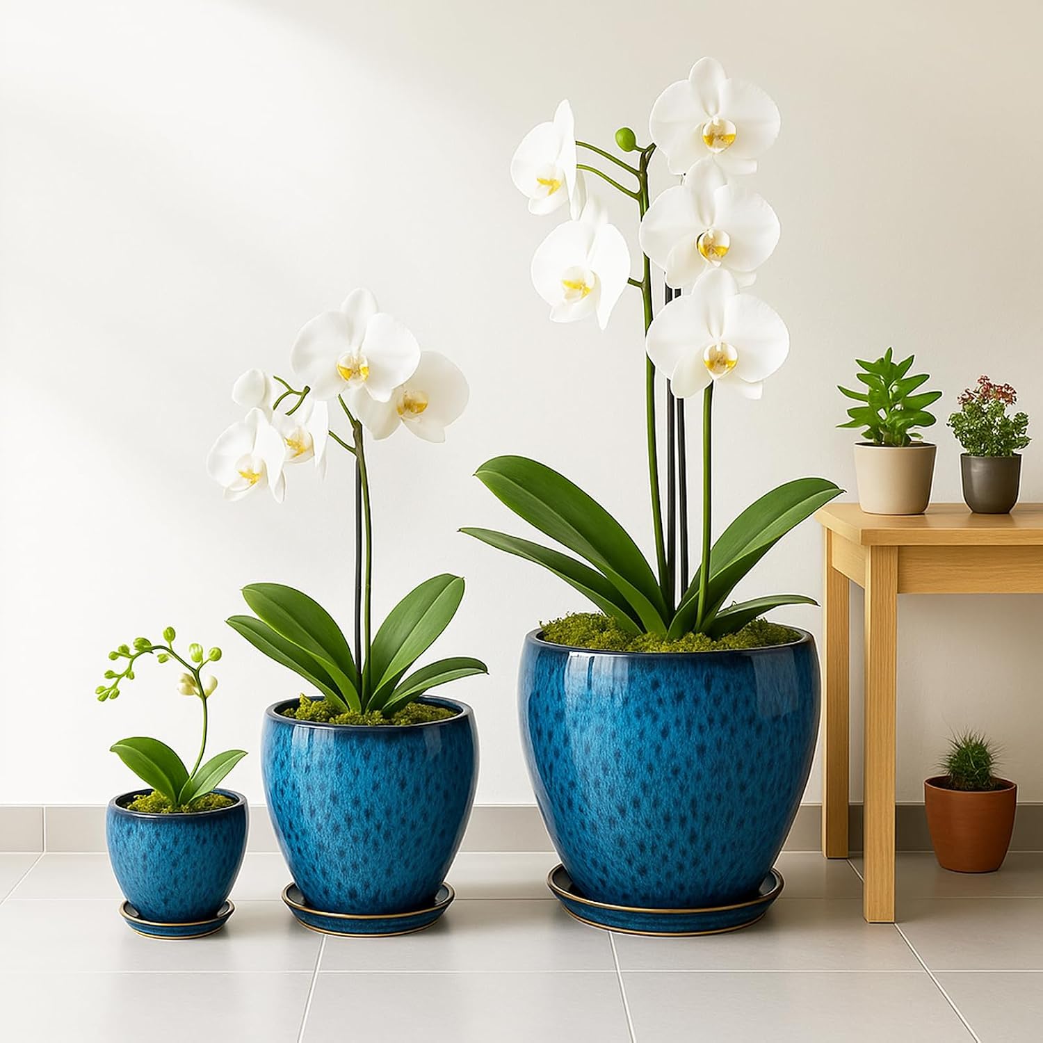 Thumbnail 6 de Deep Dream 10-Inch Ceramic Planter with Blue Glaze, Drainage Hole and Tray