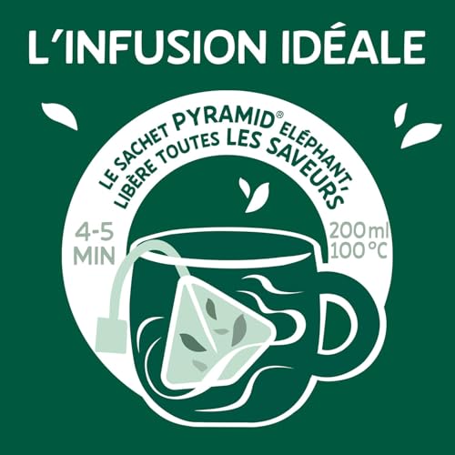 Thumbnail 3 de Elephant Infusion Collection Fruitée – Assortiment 5 Tisanes en Sachets Pyramid, 50 Sachets