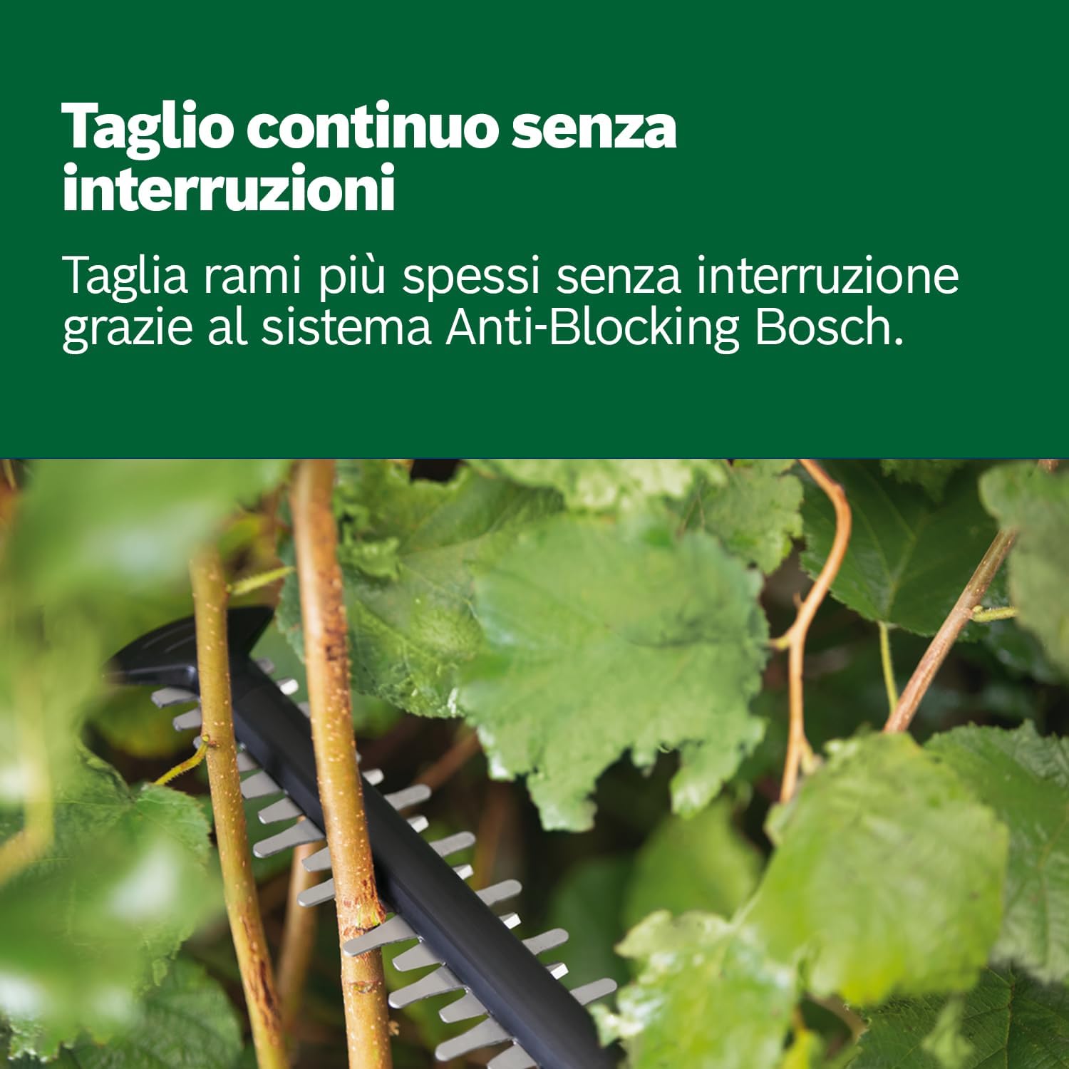 Thumbnail 4 de Bosch UniversalHedgeCut 18V-50: tagliasiepi a batteria leggera per siepi di medie dimensioni